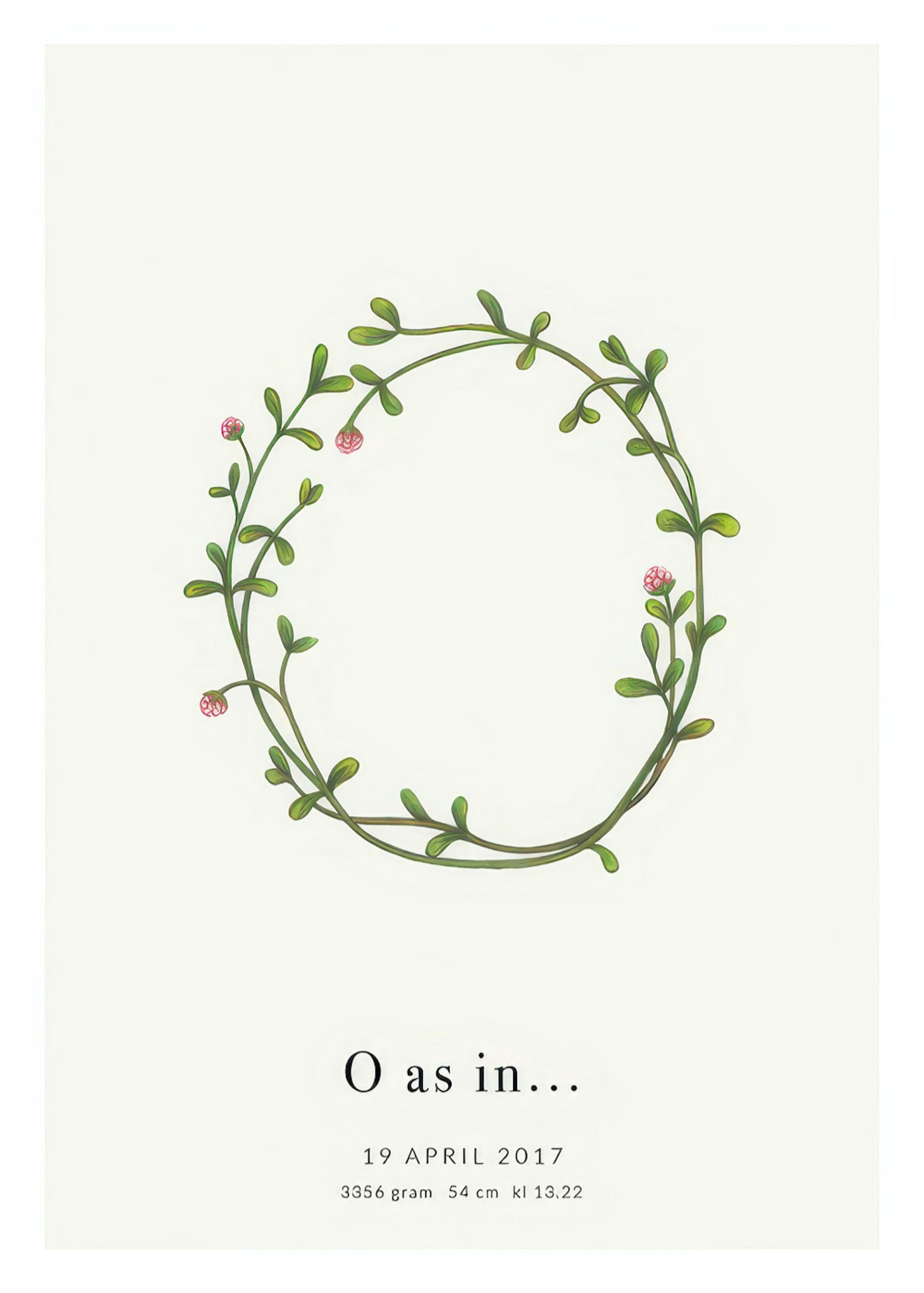 Botanic Letter O Personal Plakat 0