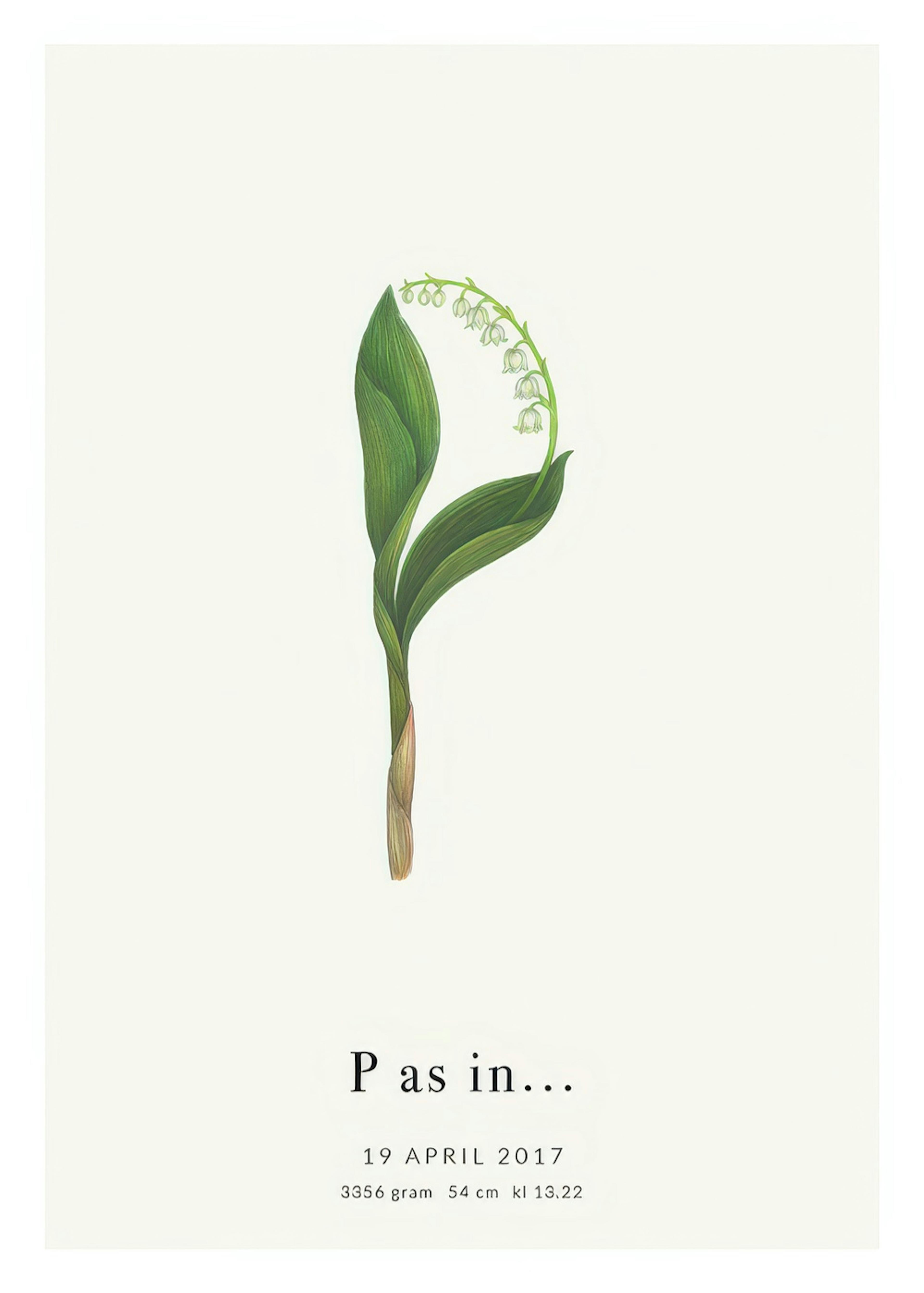 Botanic Letter P Personal Juliste 0