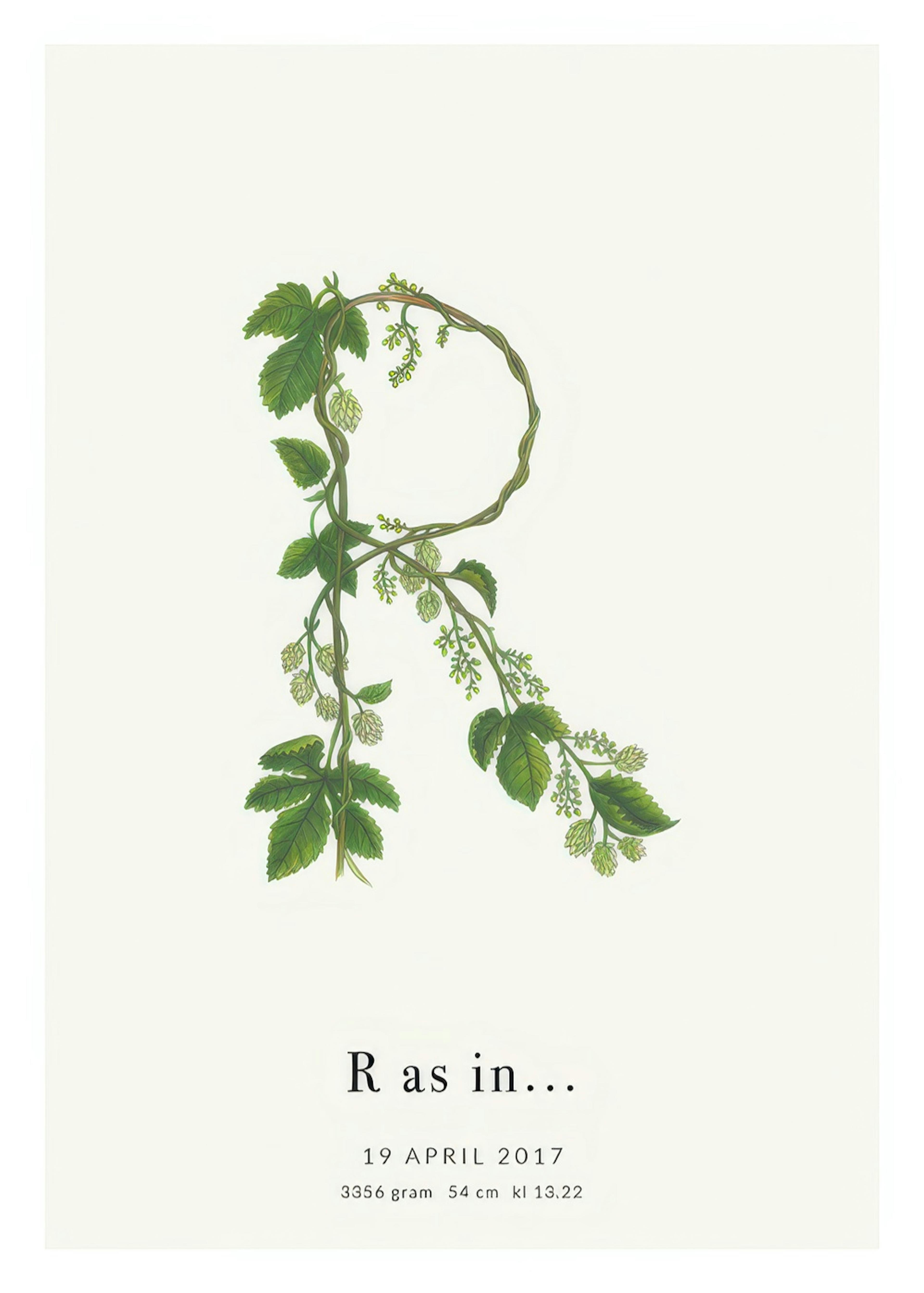 Botanic Letter R Personal Juliste 0