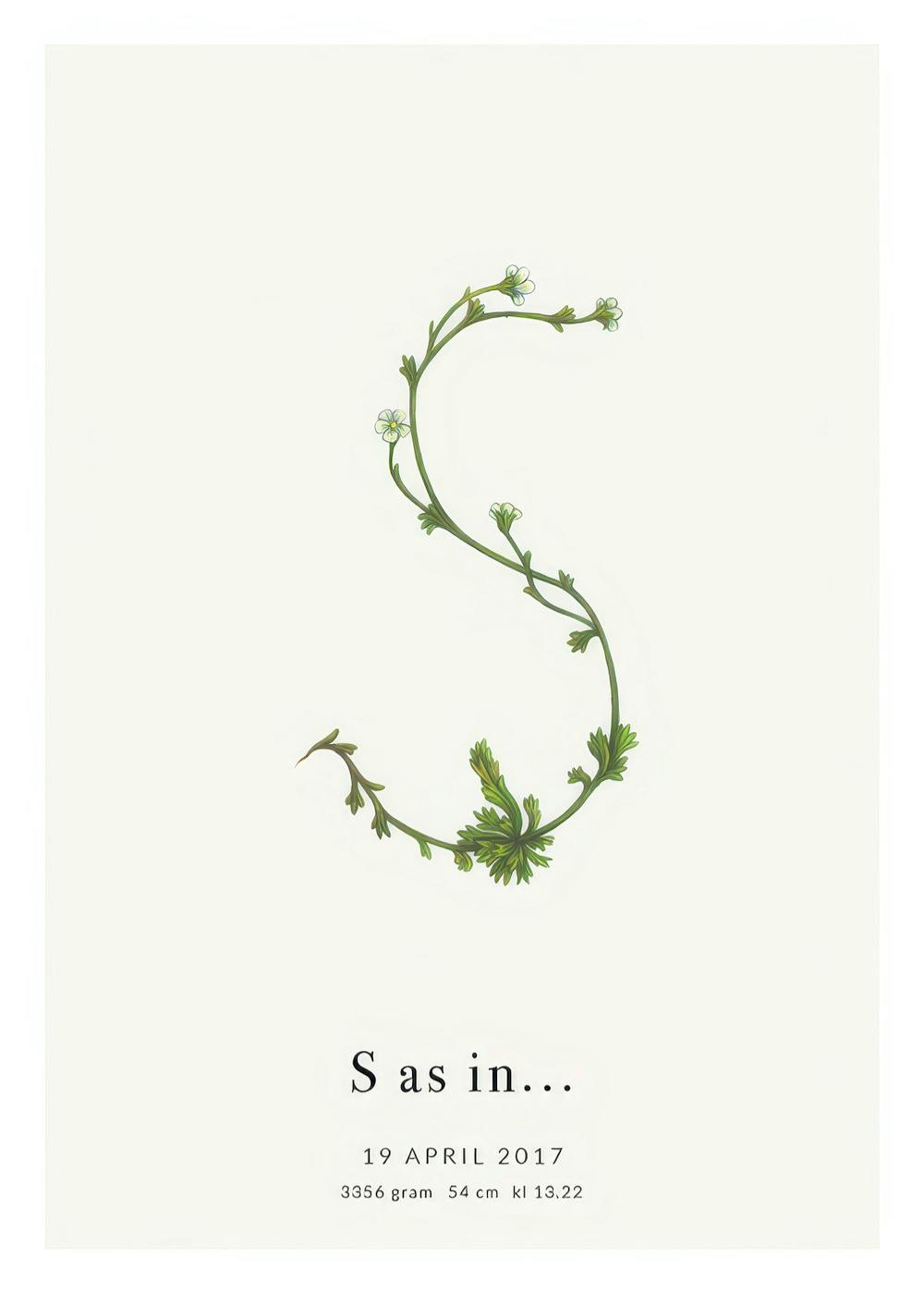 Botanisches Poster mit dem Buchstaben S aus Pflanzenranken und Blättern auf hellem Hintergrund, personalisiertem Text.