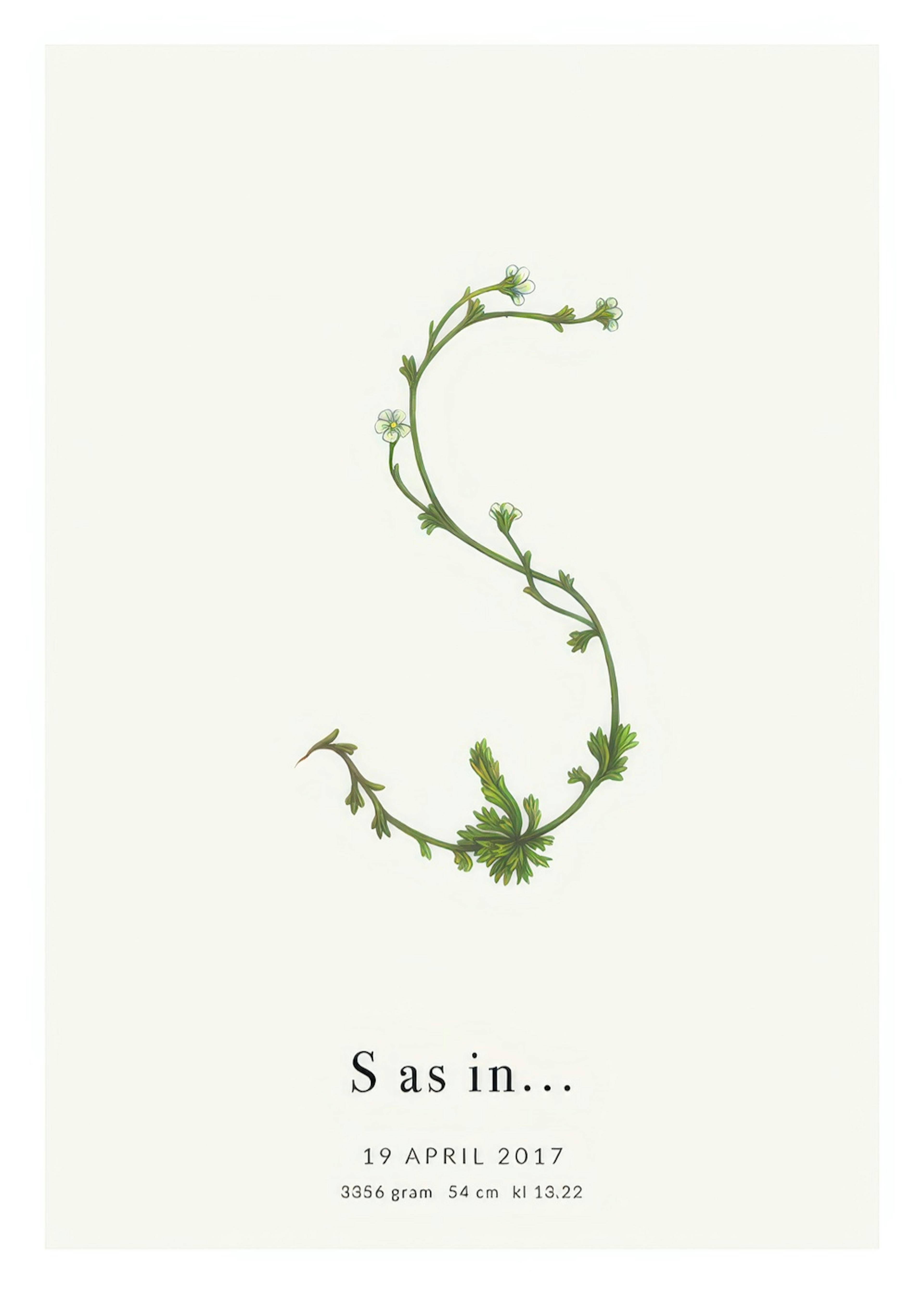 Botanic Letter S Personal Plakat 0