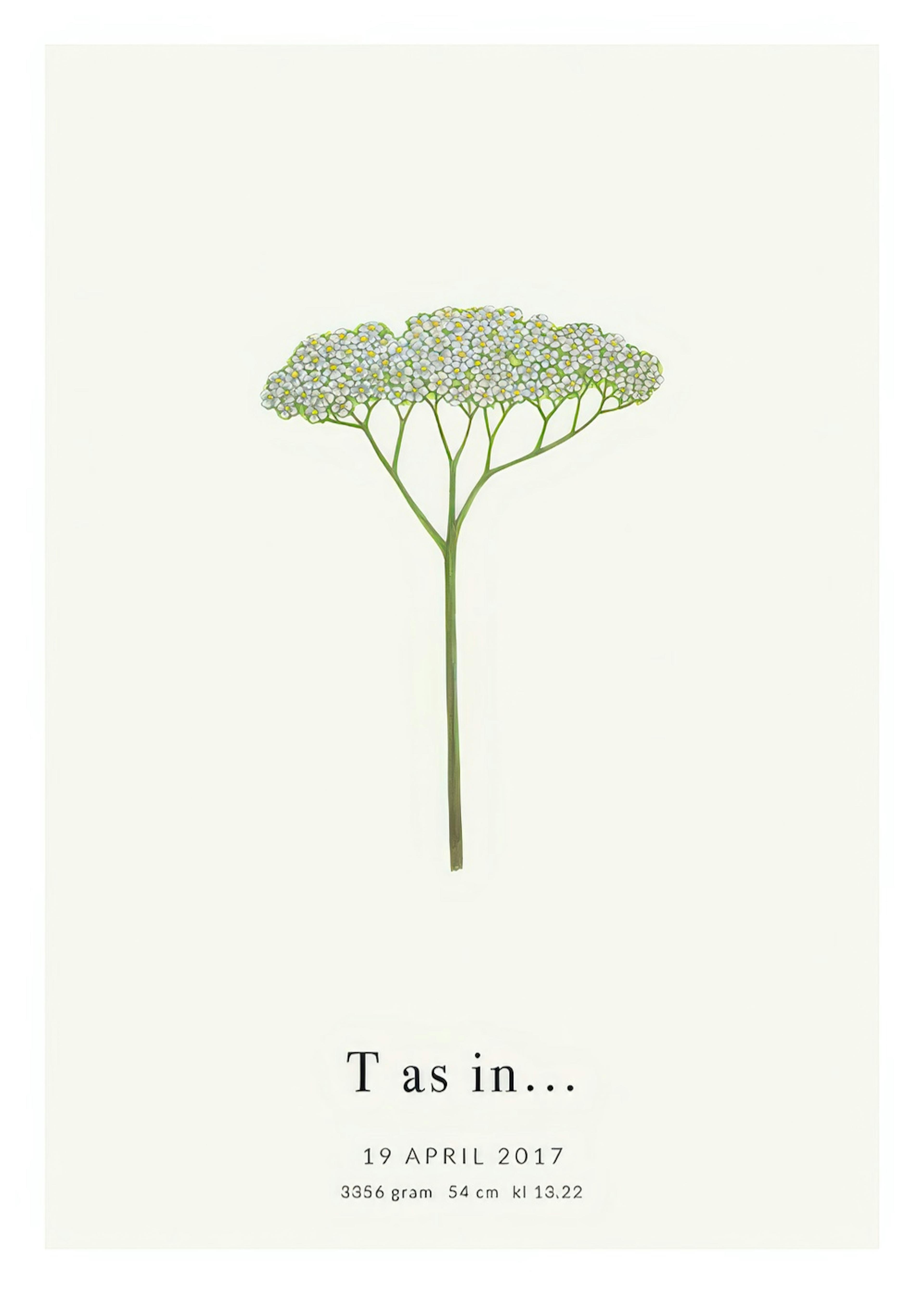 Botanic Letter T Personal Juliste 0