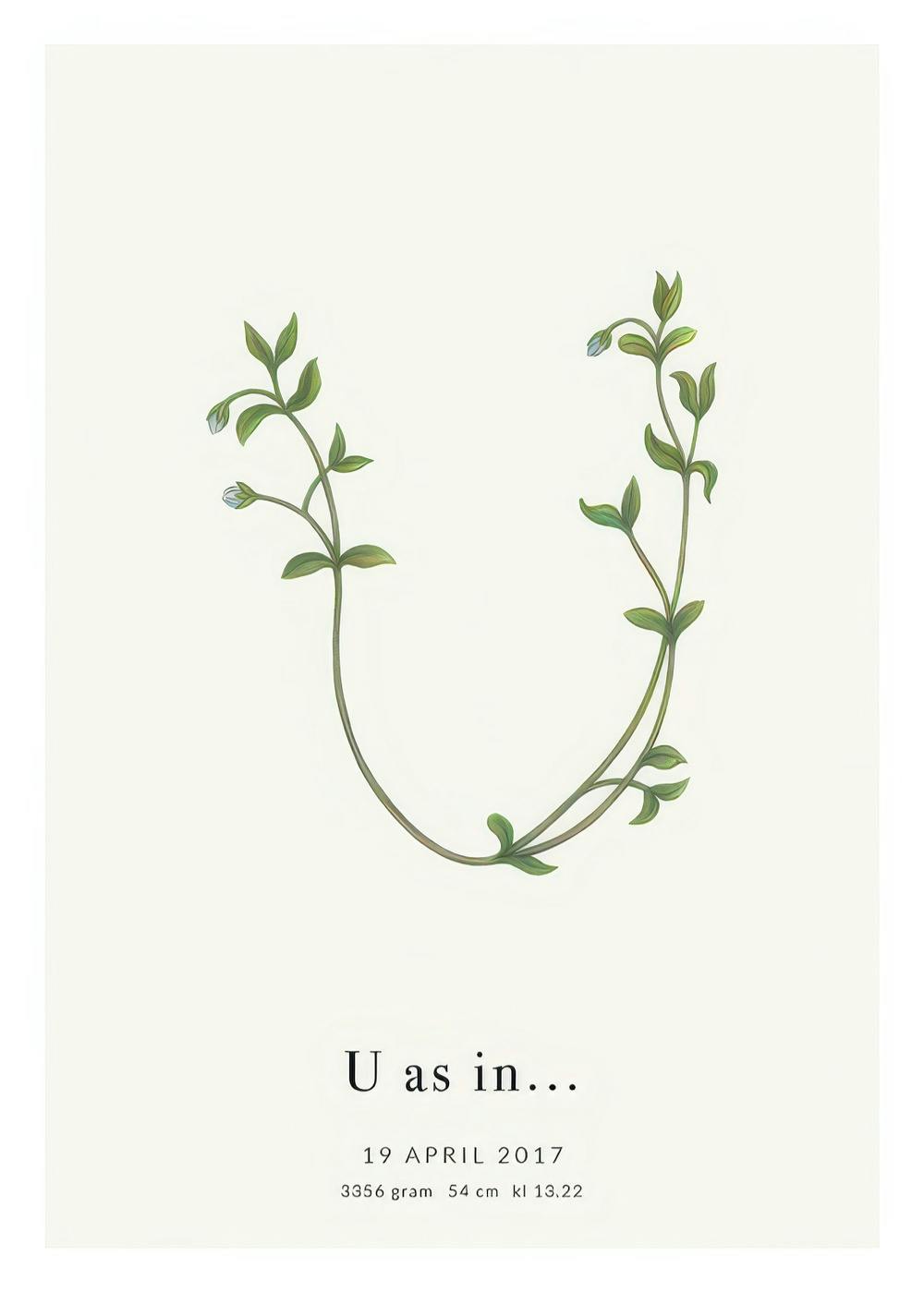 Personalisiertes Poster mit Buchstabe U aus grünen Blättern und Text auf hellbeigem Hintergrund, botanisches Design.