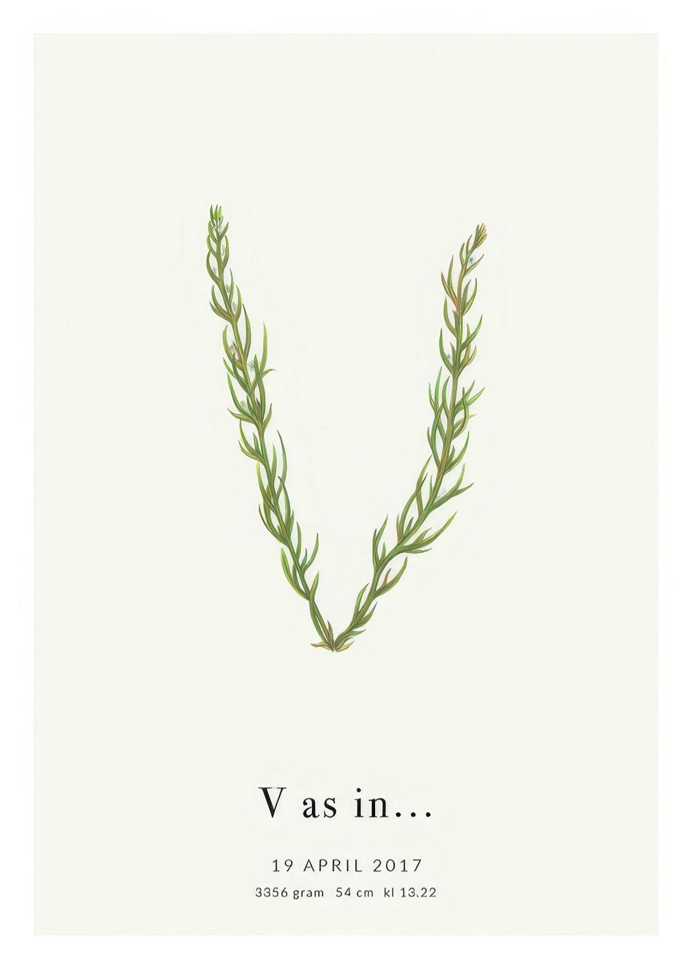 Dekoratives botanisches Poster: Blätter bilden den Buchstaben V auf hellem Hintergrund mit personalisiertem Text.