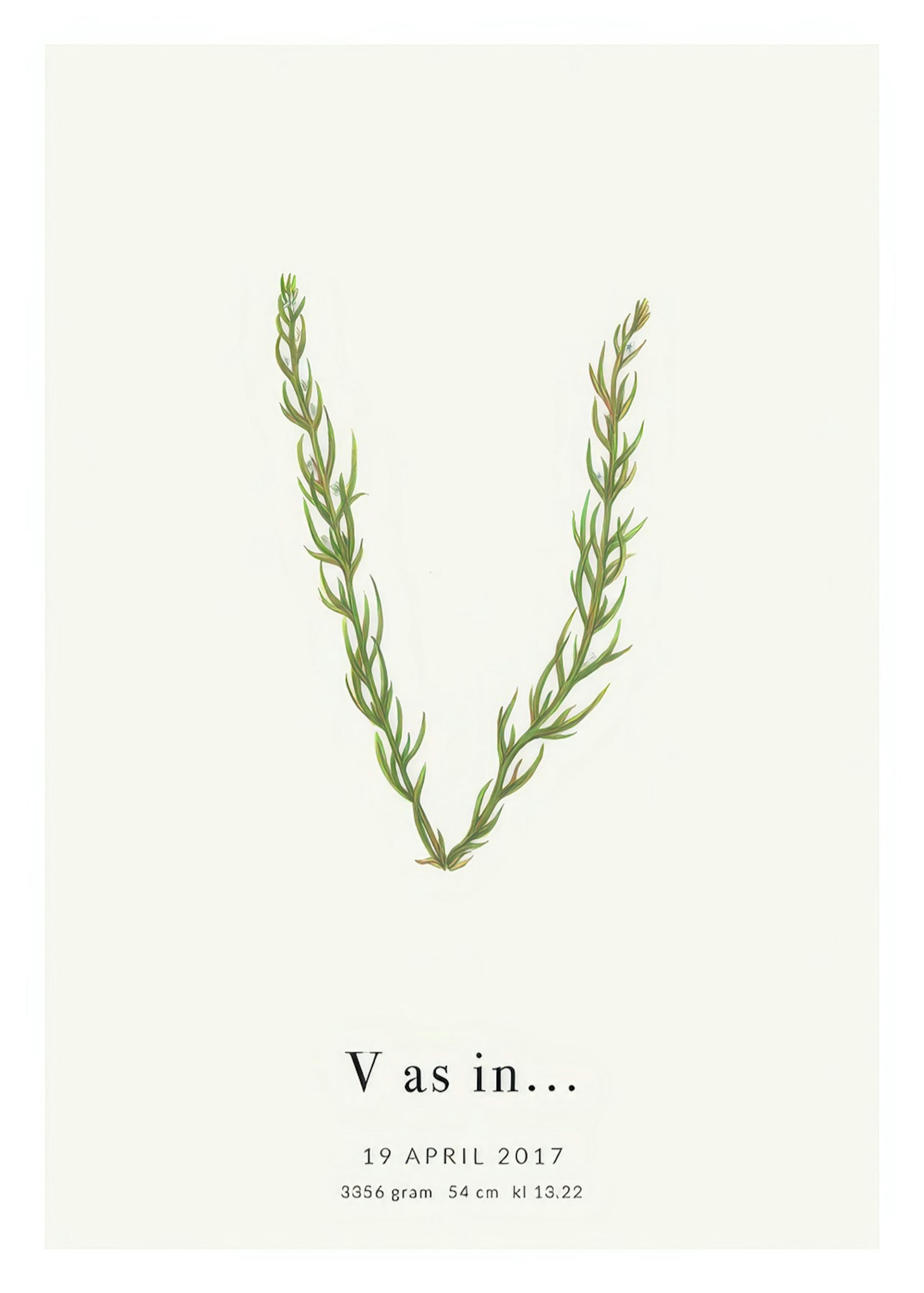Botanic Letter V Personal Juliste 0