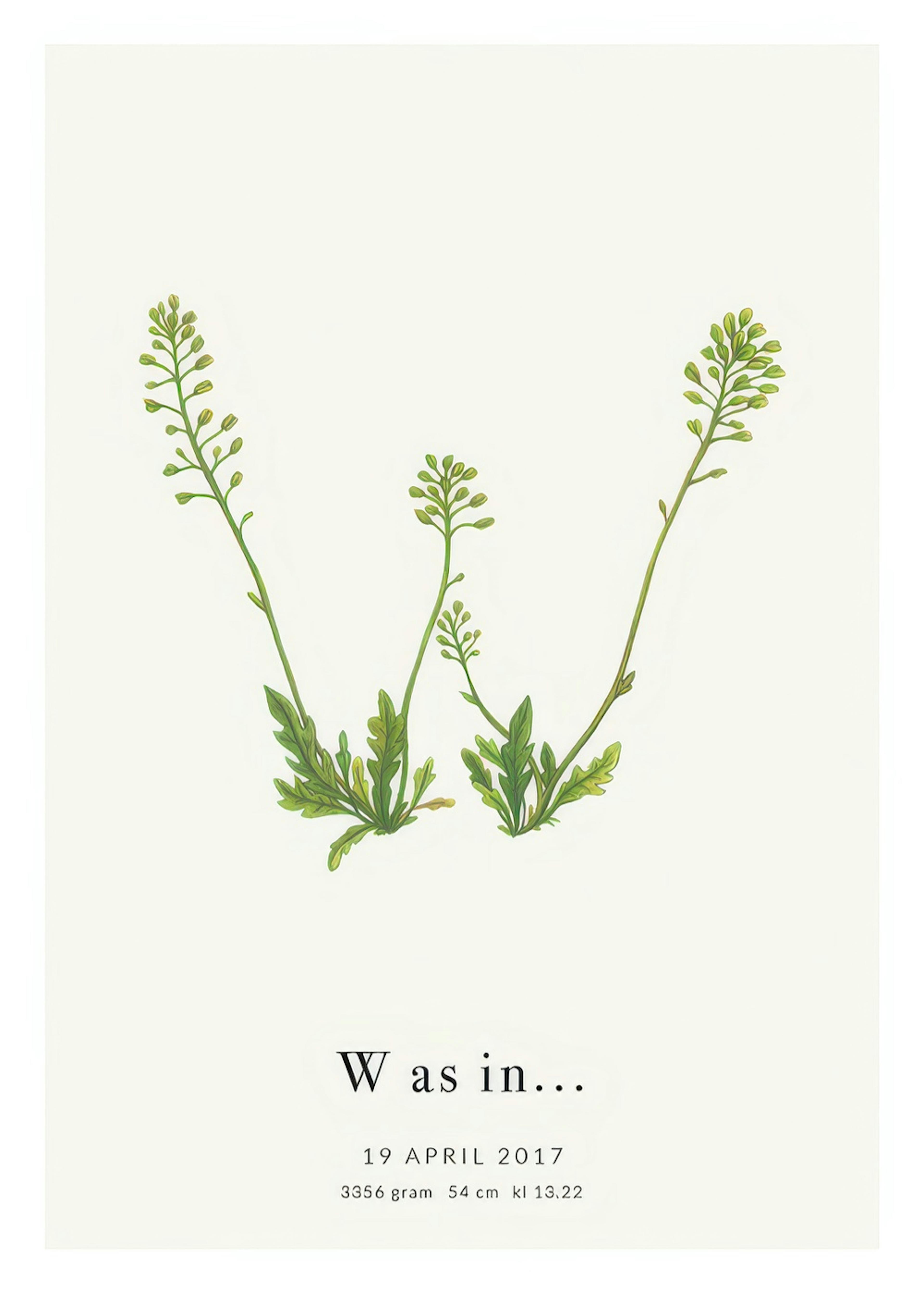 Botanic Letter W Personal Juliste 0