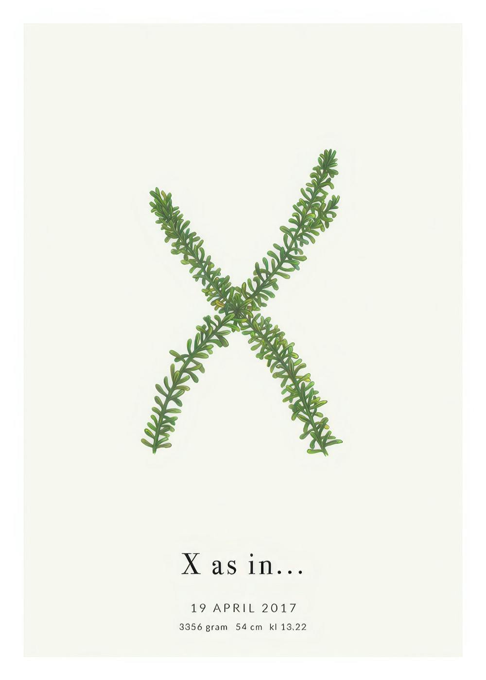 Pflanzenillustration des Buchstabens X als botanisches Alphabet-Poster auf beigem Hintergrund mit personalisiertem Text.