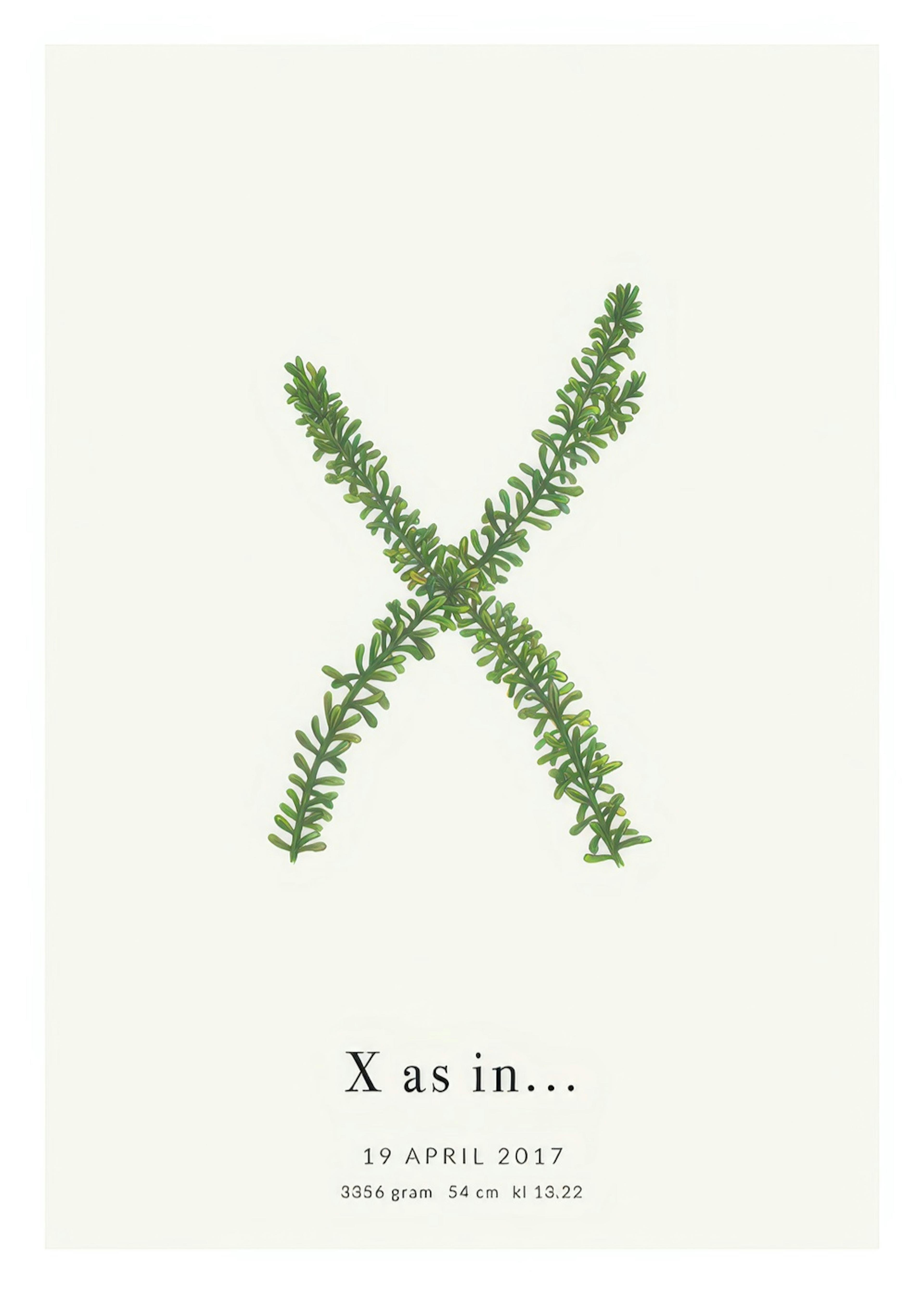 Botanic Letter X Personal Juliste 0