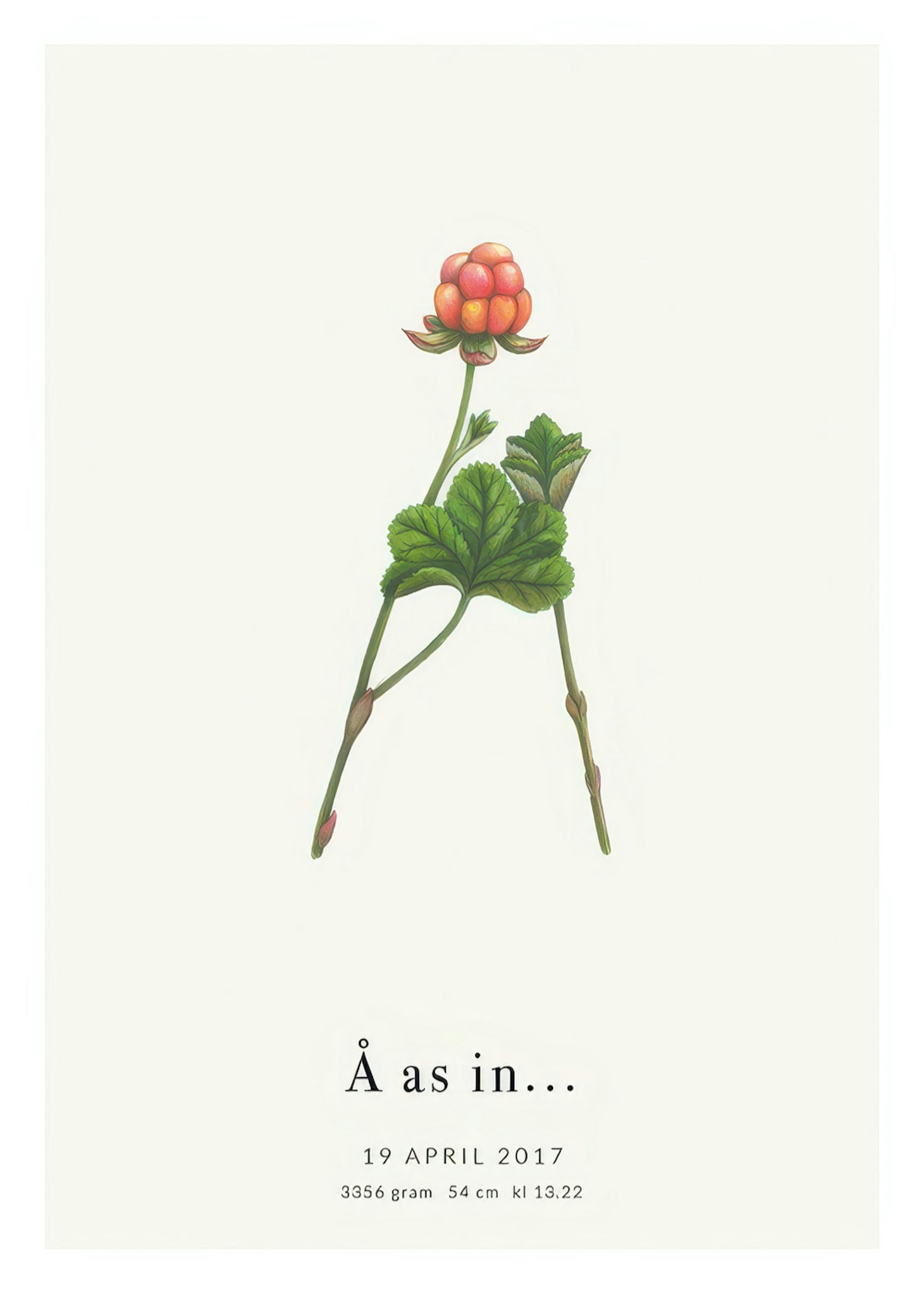 Botanic Letter Å Personal Juliste 0