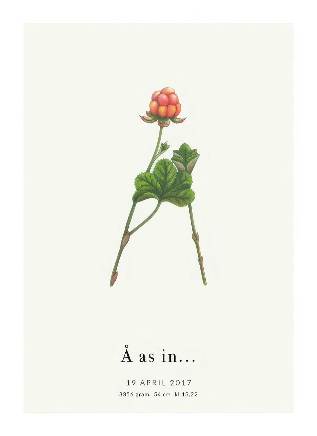 Botanic Letter Å Personal Affiche (30x40 cm) - Affiches personnalisées