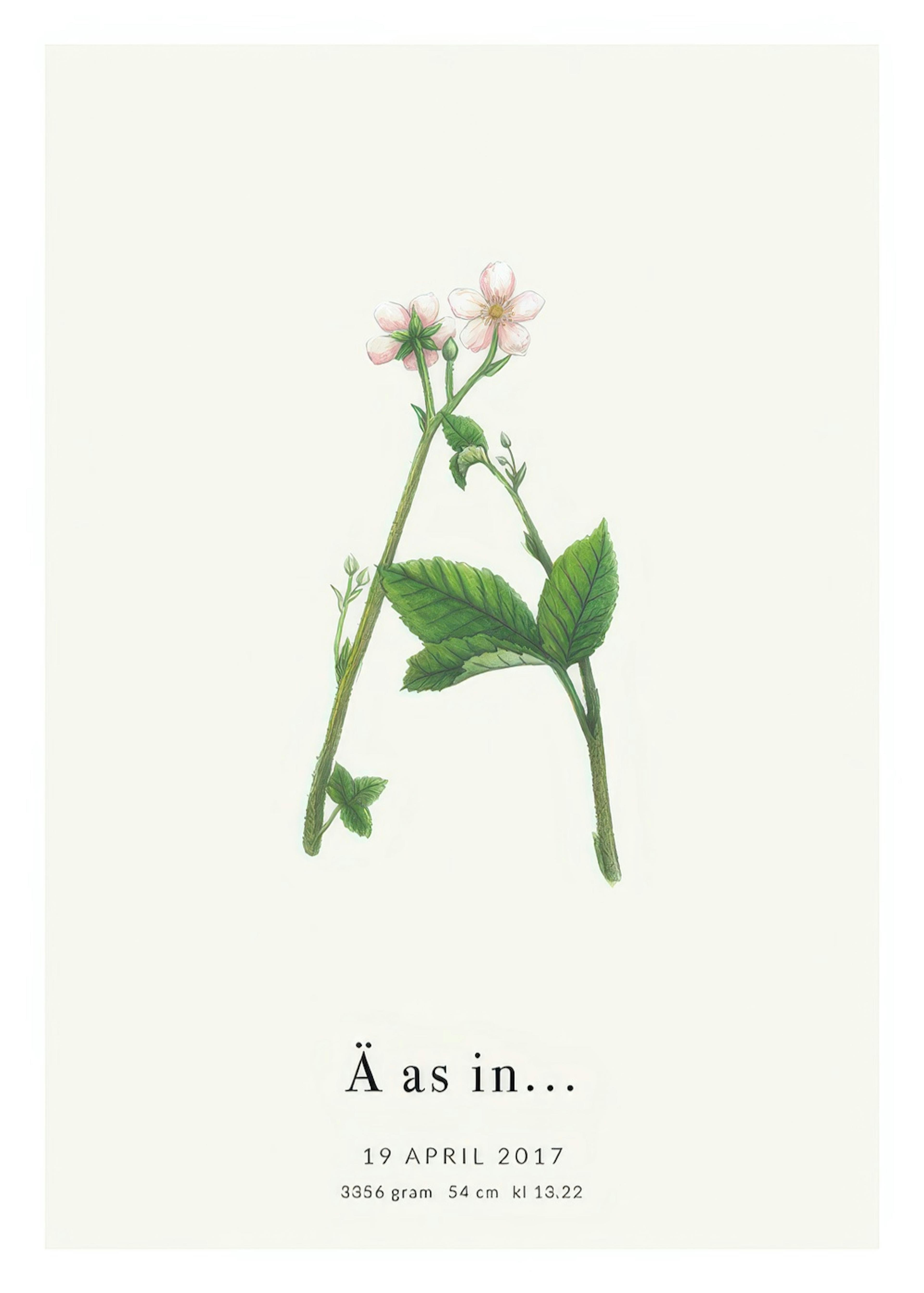 Botanic Letter Ä Personal Juliste 0