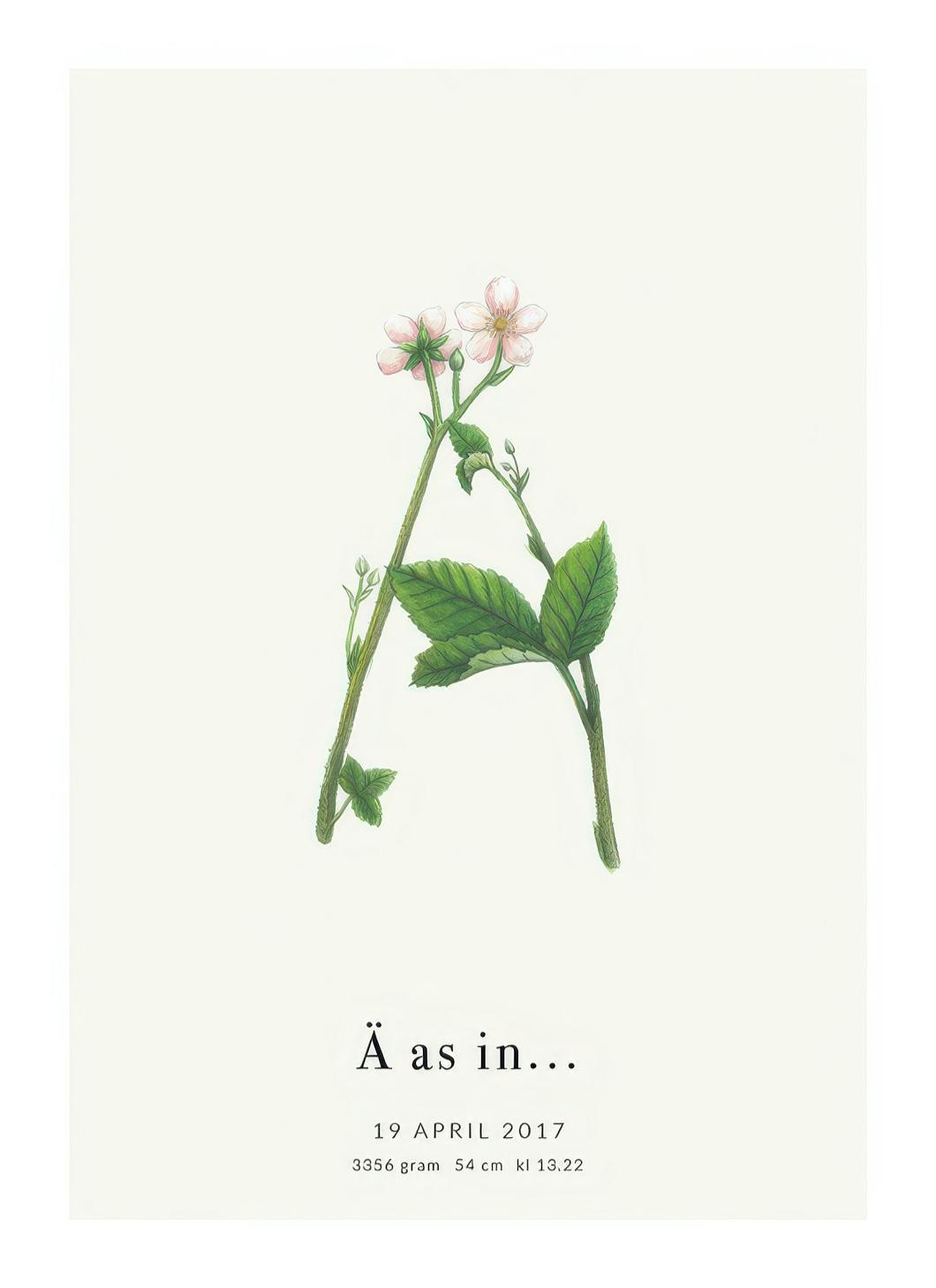 Botanic Letter Ä Personal Poster (30x40 cm)- Poster personalizzati