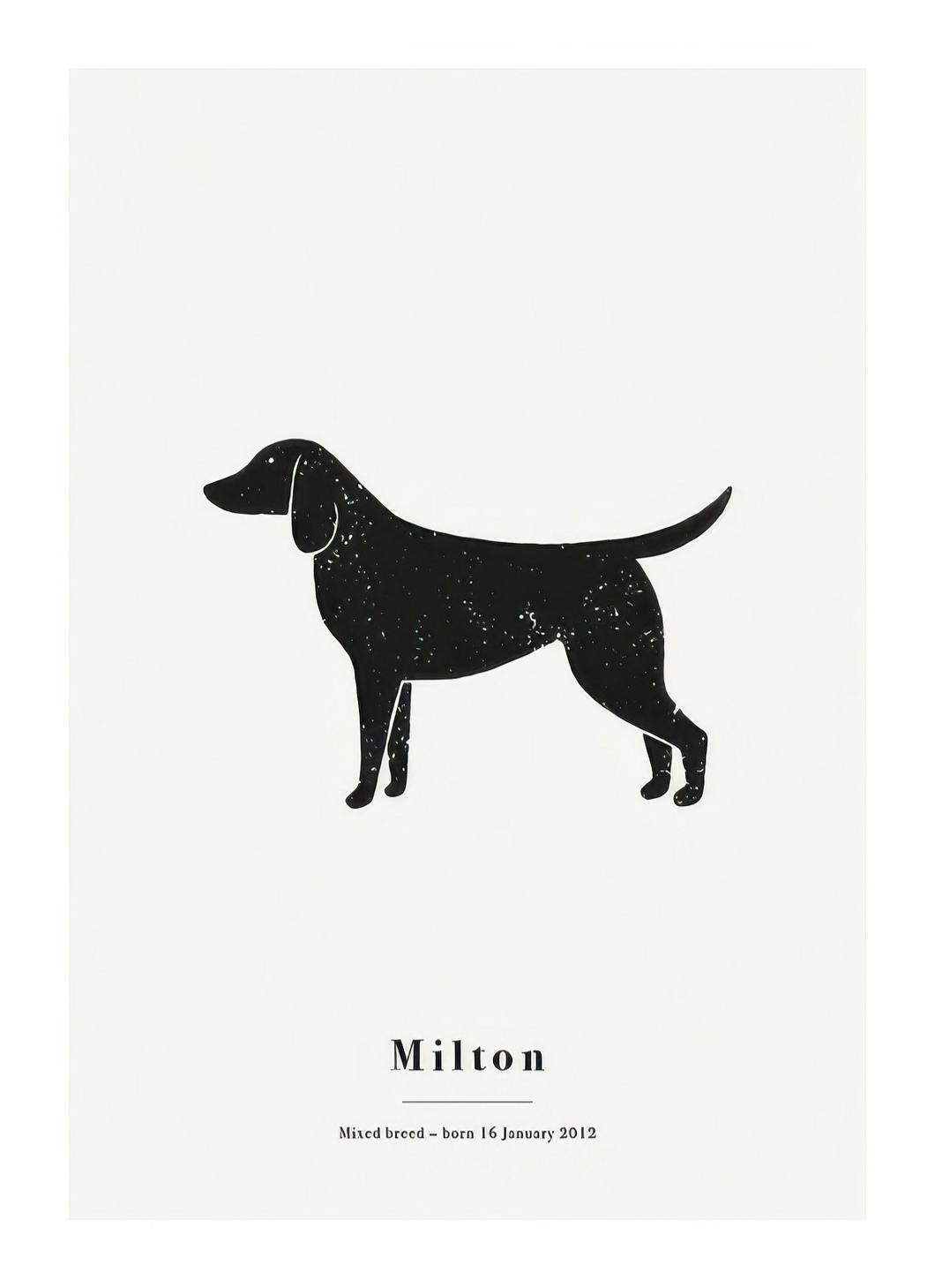 My Pet Mixed Breed Personal Poster (50x70 cm)- Posters personalizados
