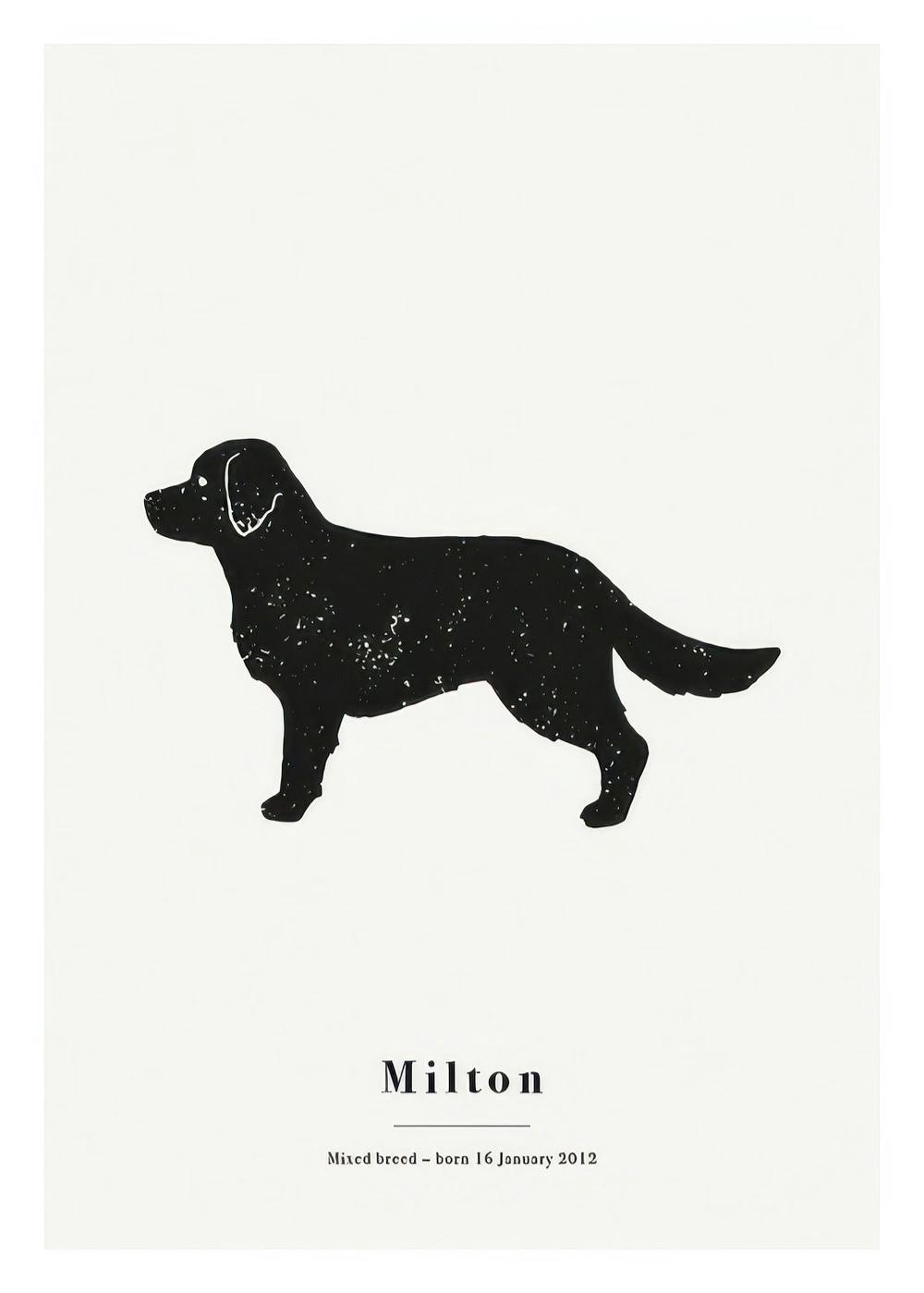 Poster mit schwarzer Illustration eines Golden Retrievers mit weissen Flecken auf hellem Hintergrund und personalisiertem Text.