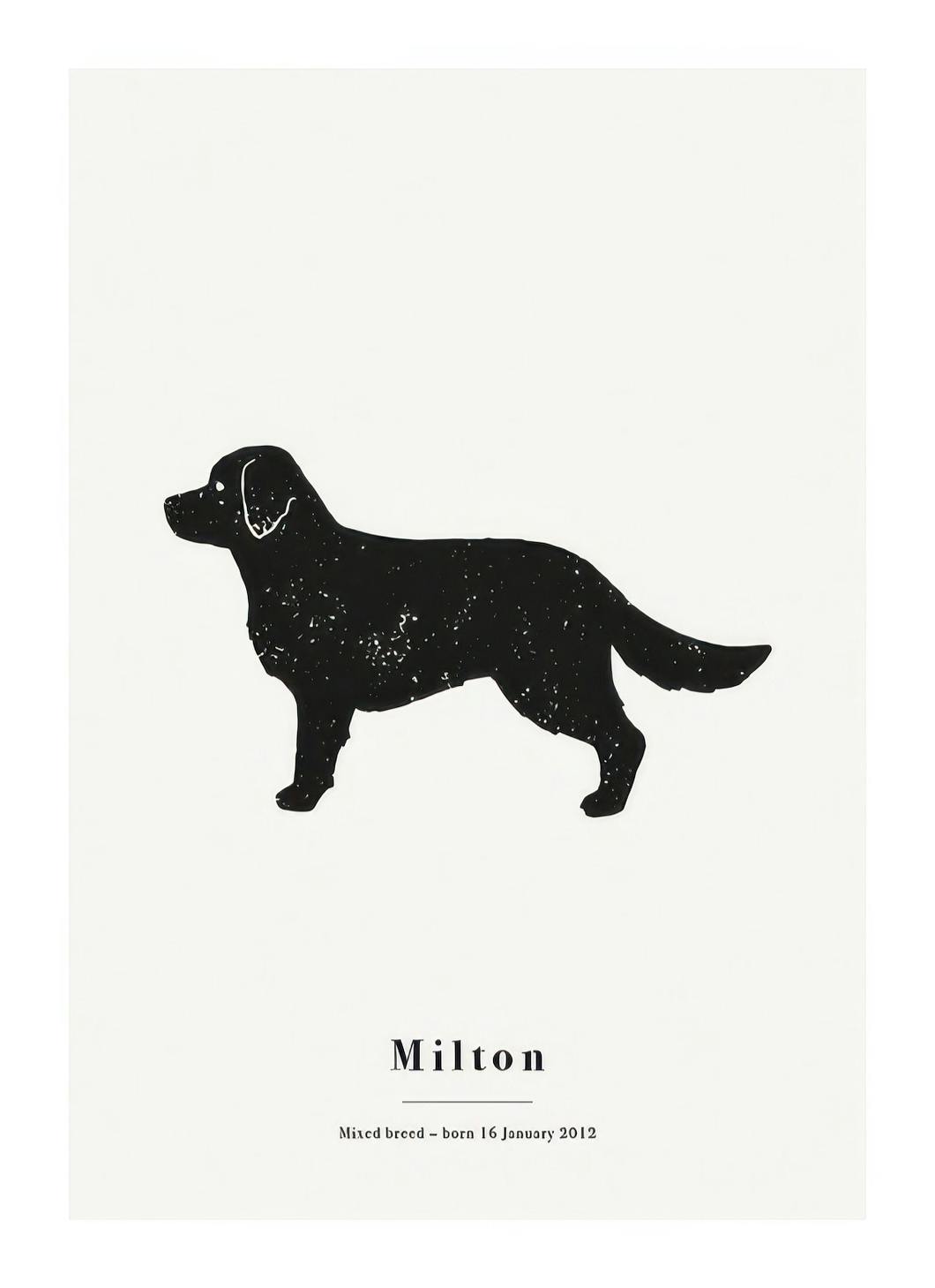 My Pet Golden Retriver Personal Poster (30x40 cm)- Posters personalizados