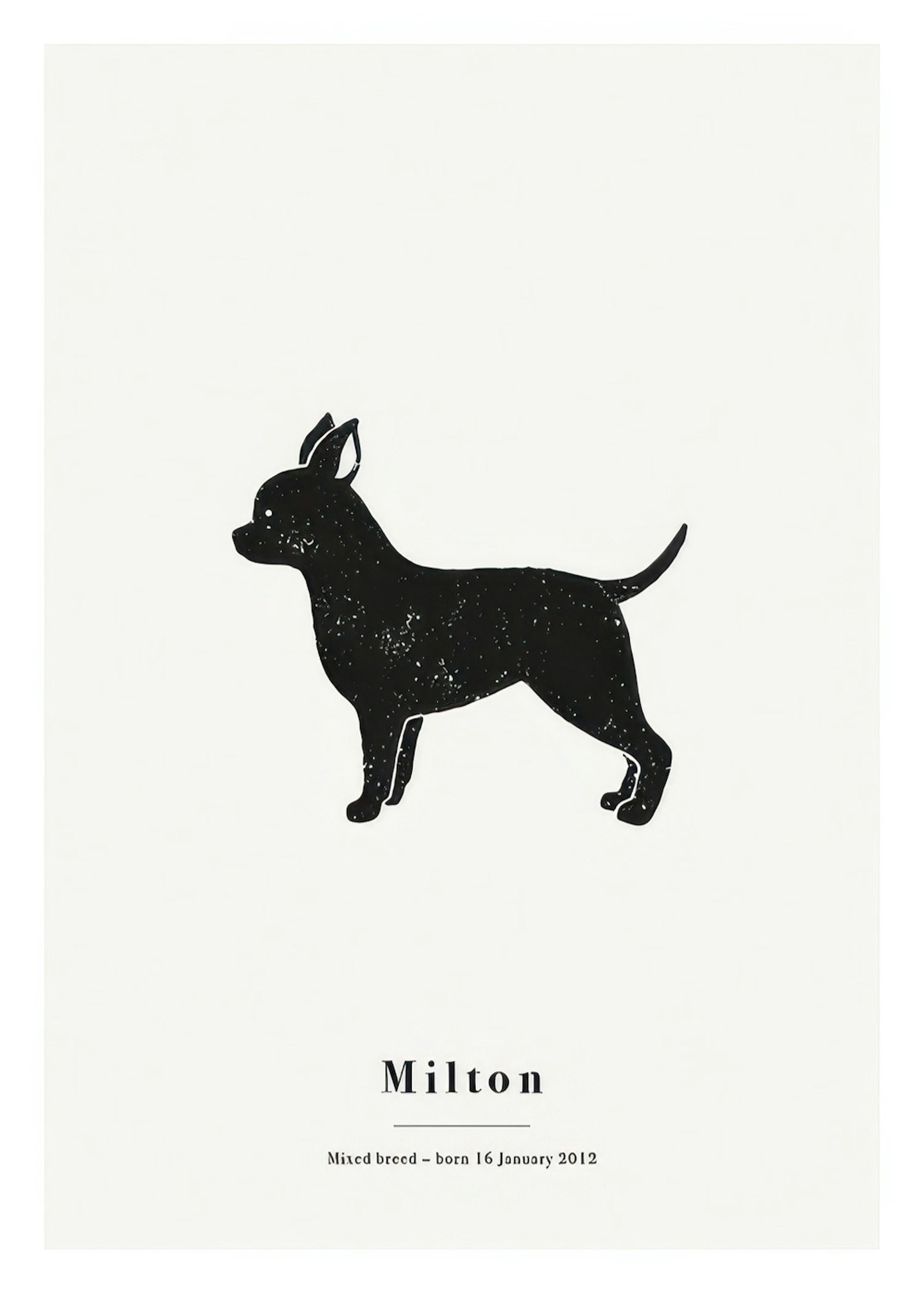 My Pet Chihuahua Personal Poster 0