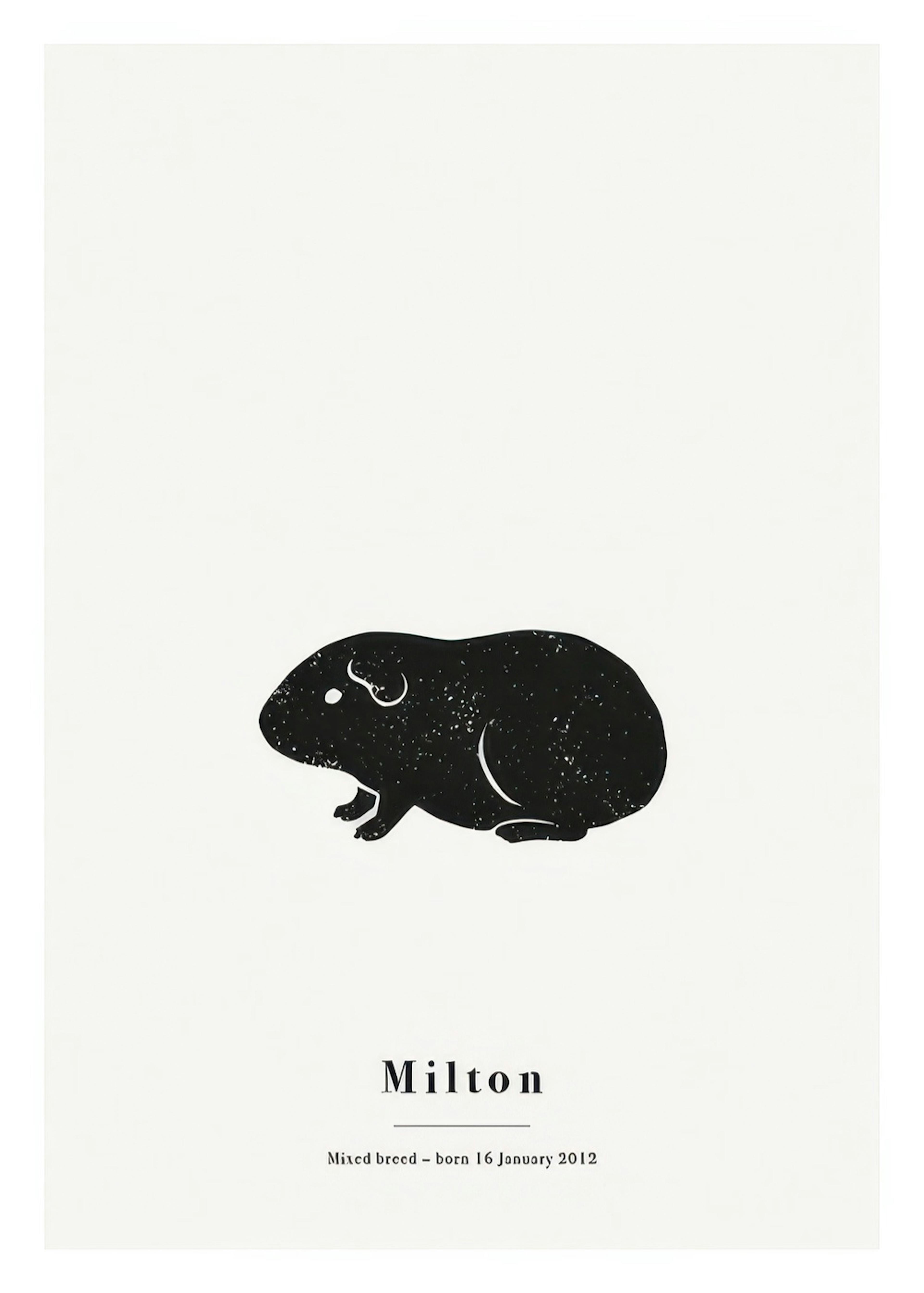 My Pet Guinea Pig Personal Poster 0