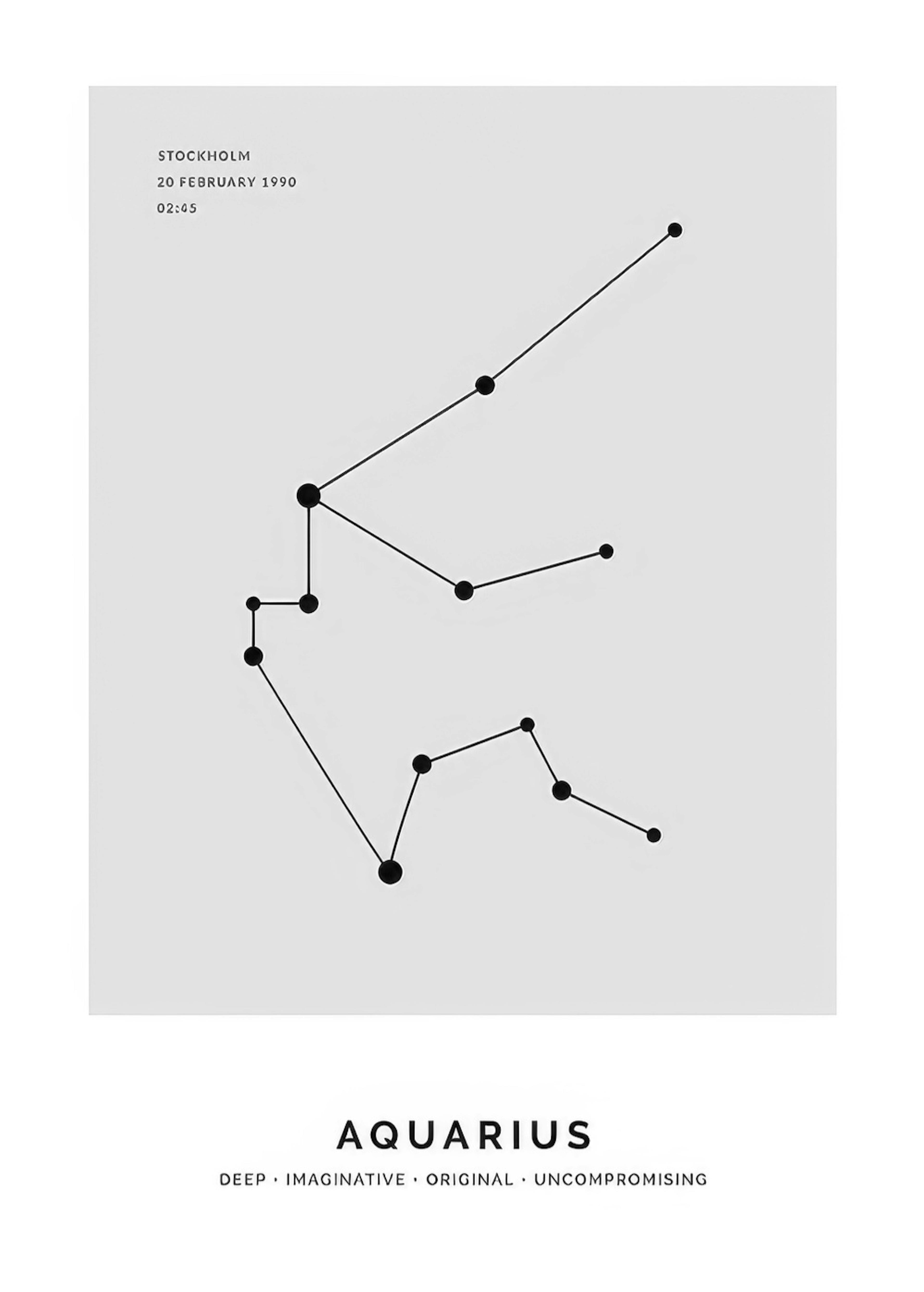 Constellation Grey Aquarius Personal Poster 0
