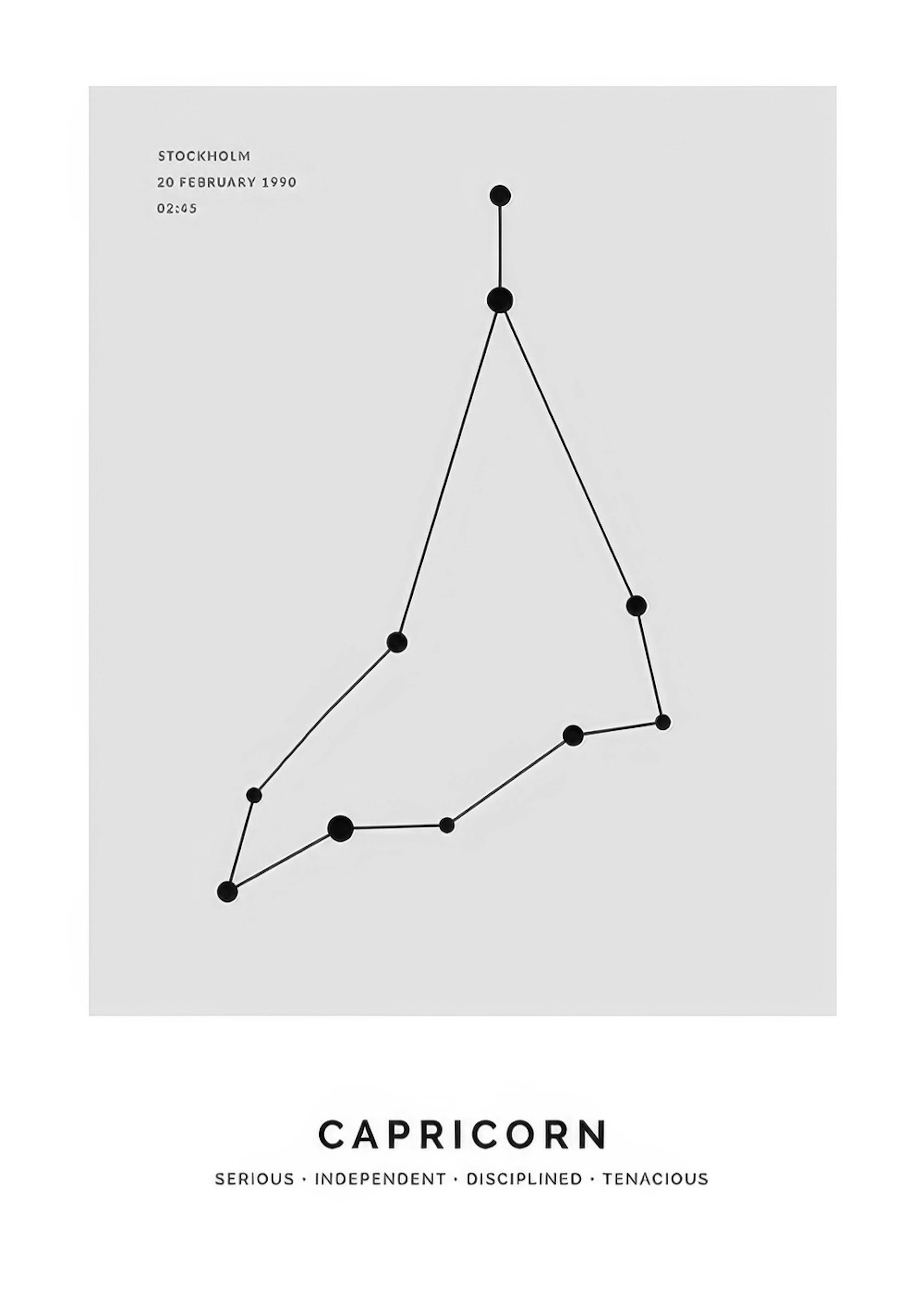 Constellation Grey Capricorn Personal 0