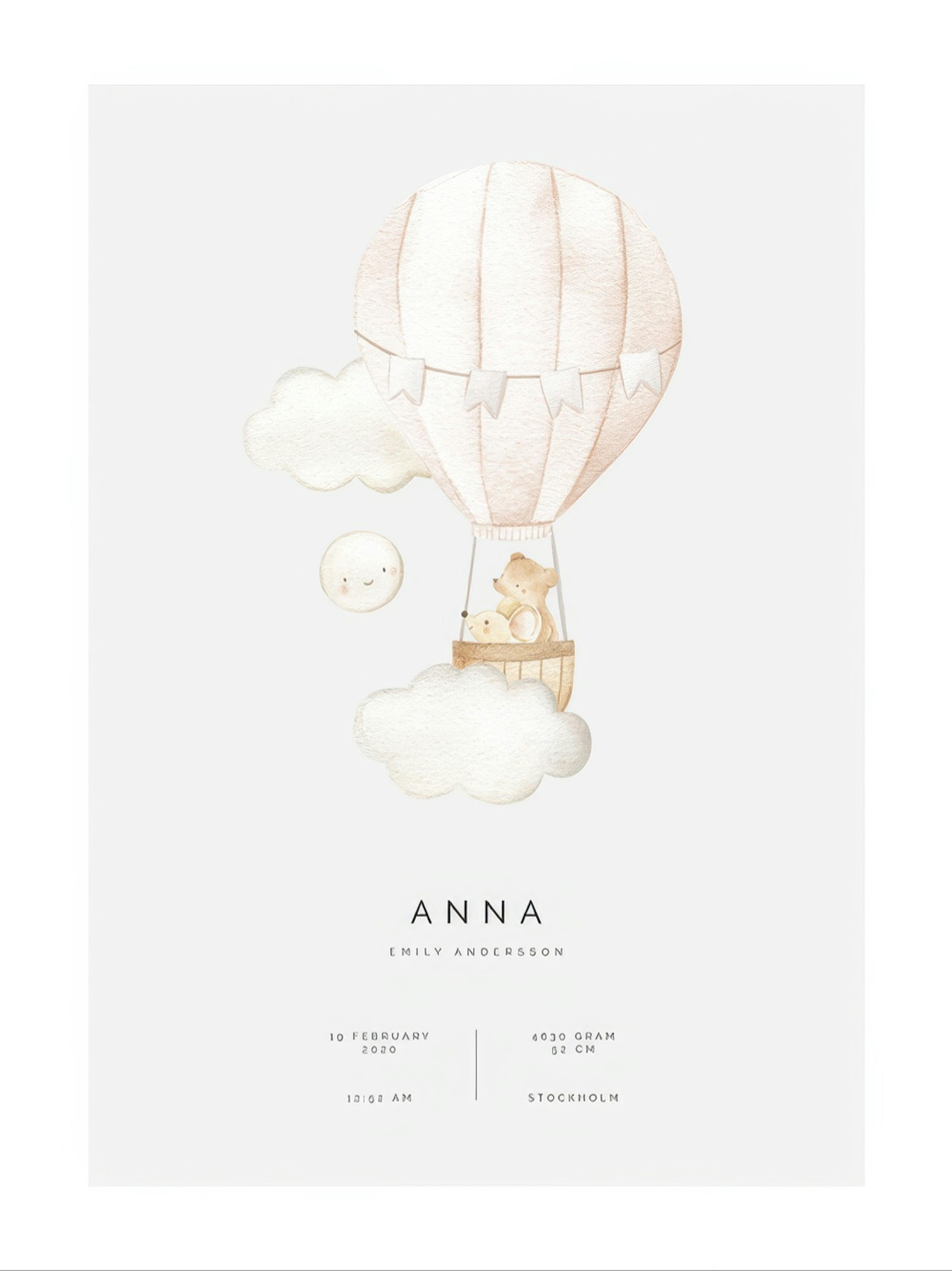 Hot Air Balloon Personal Poster