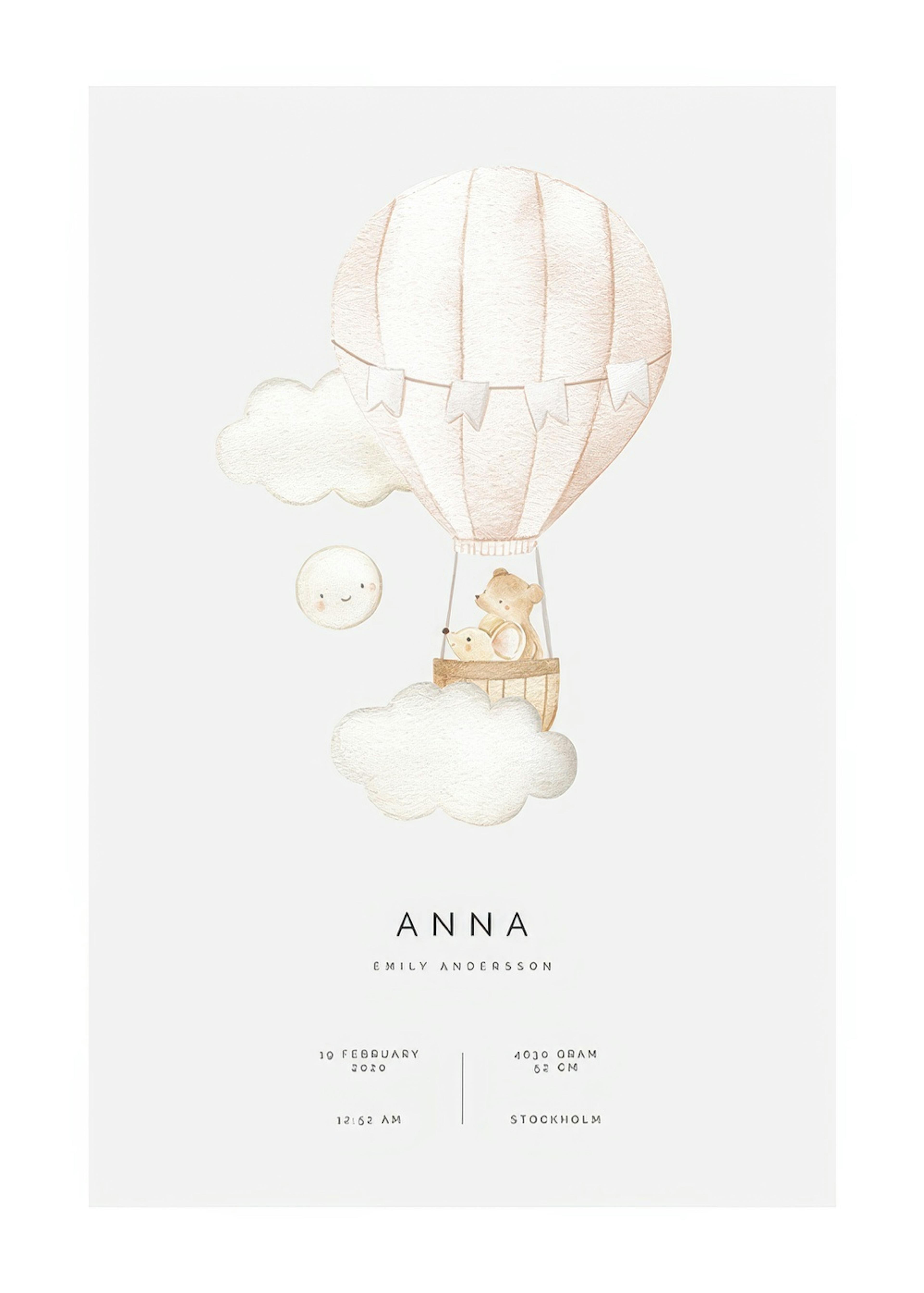 Hot Air Balloon Personal Plakat 0
