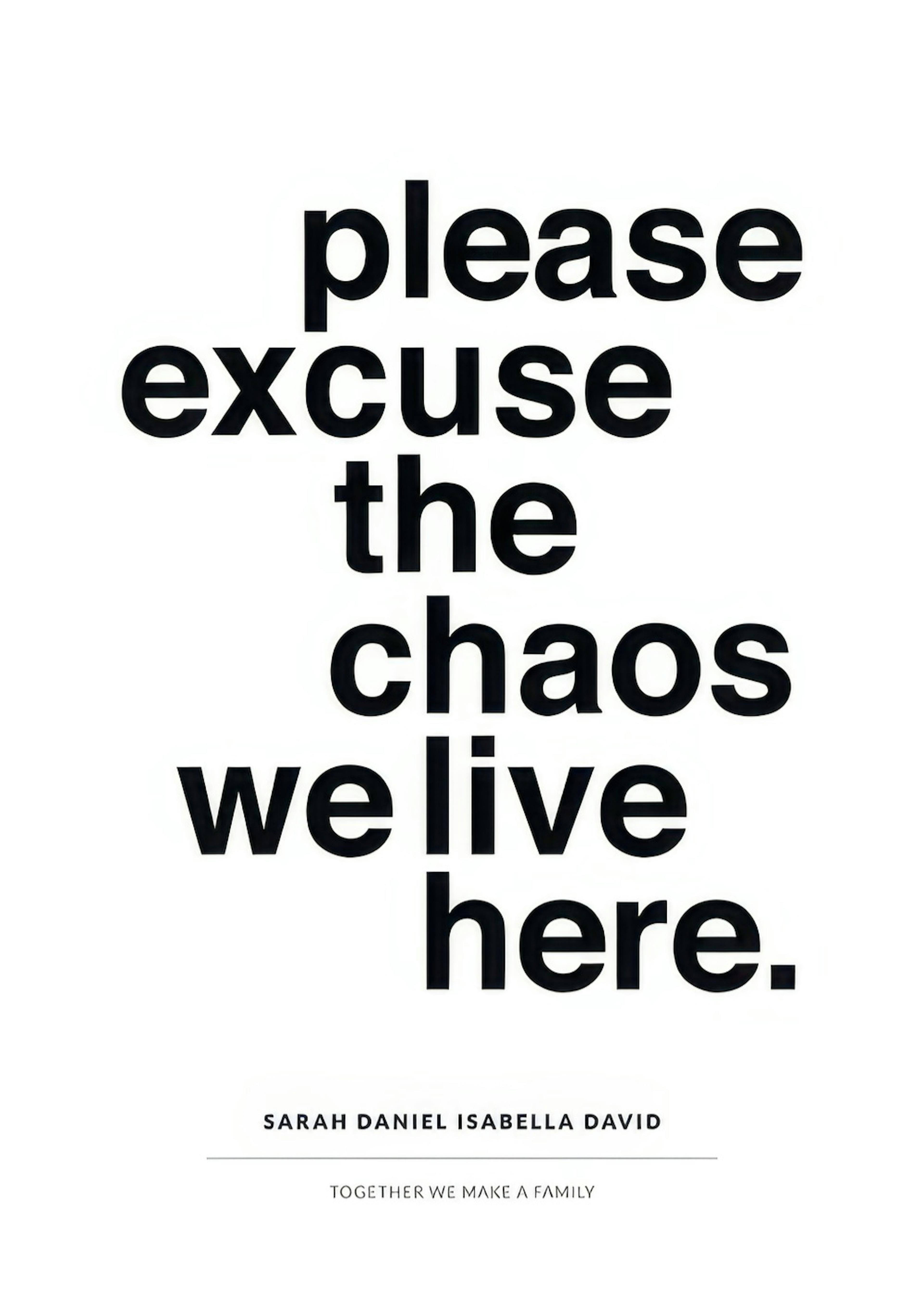 Excuse the Chaos Personal Poster 0