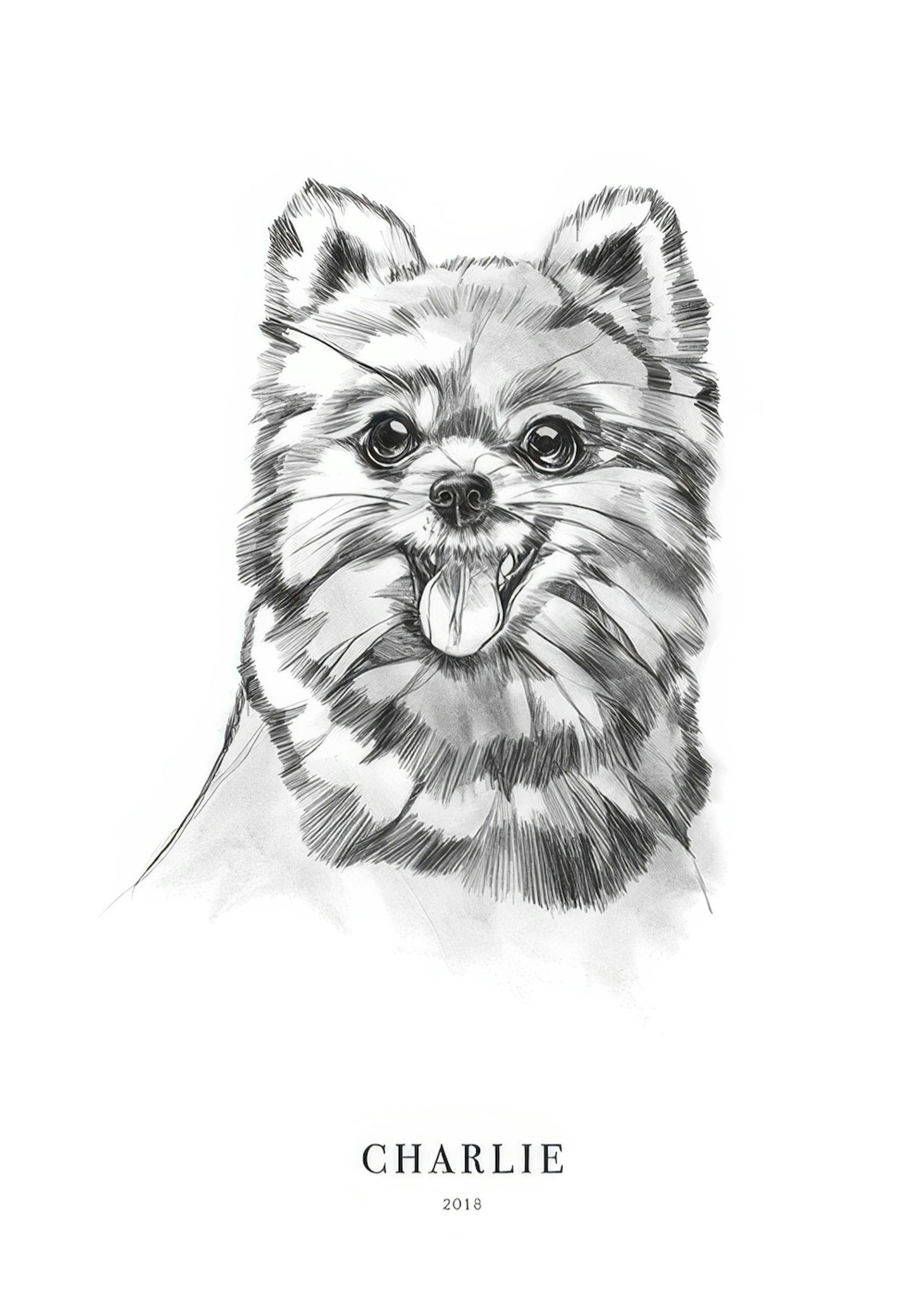 Pomeranian Dog Personal Poster 0