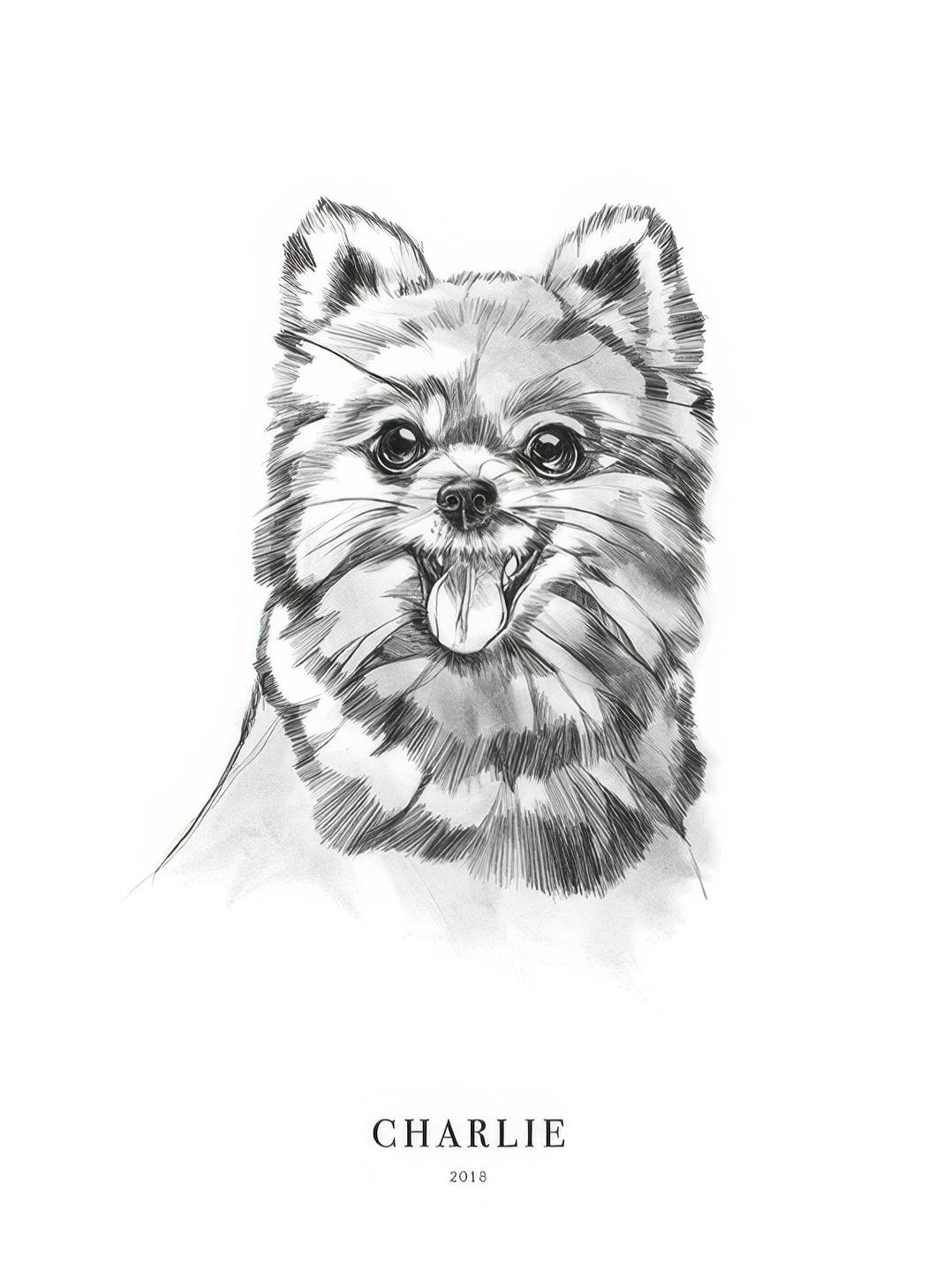 Prints - Pomeranian Dog Personal (30x40 cm) - Personalised prints