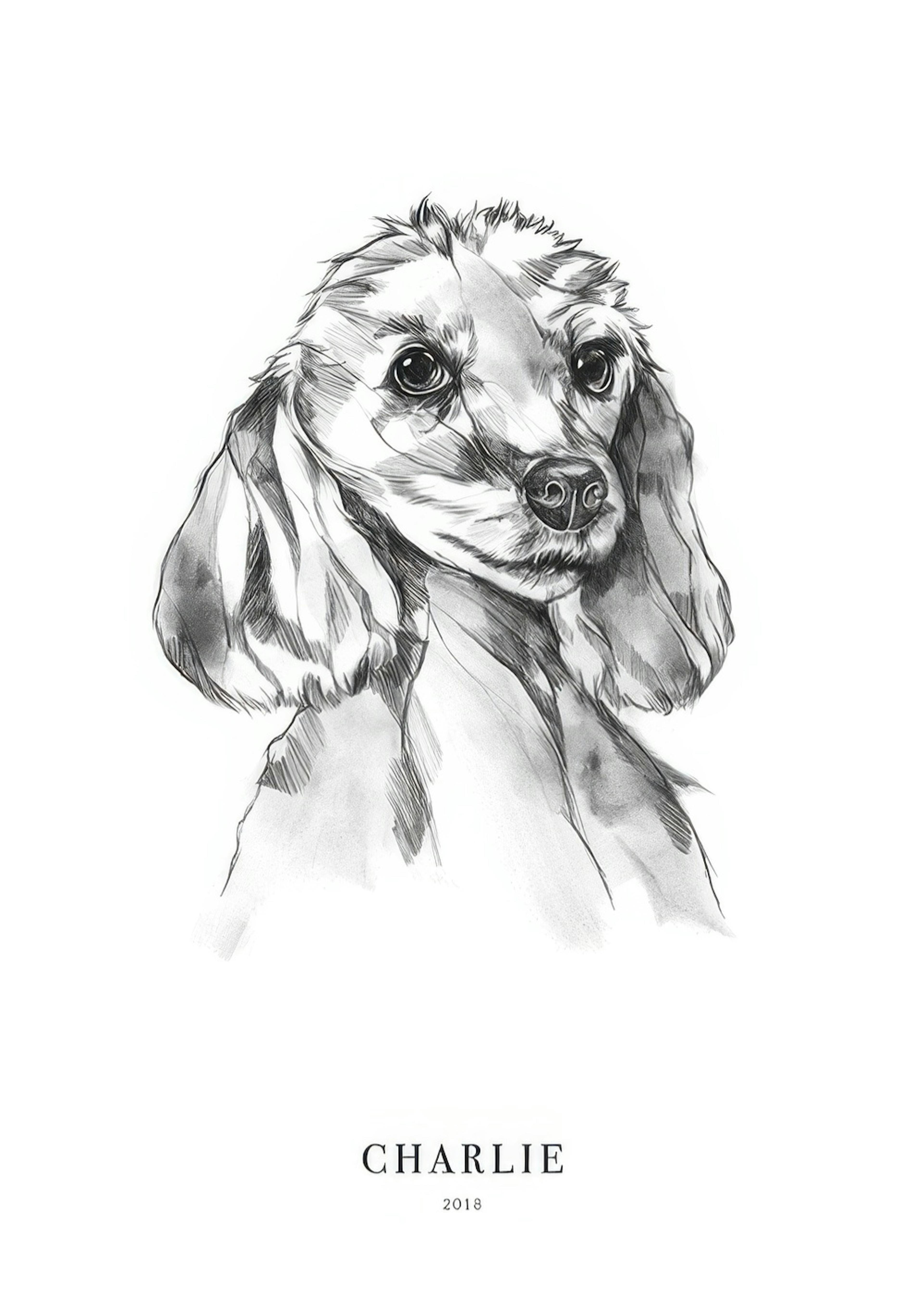 Poodle Dog Personal Poster 0