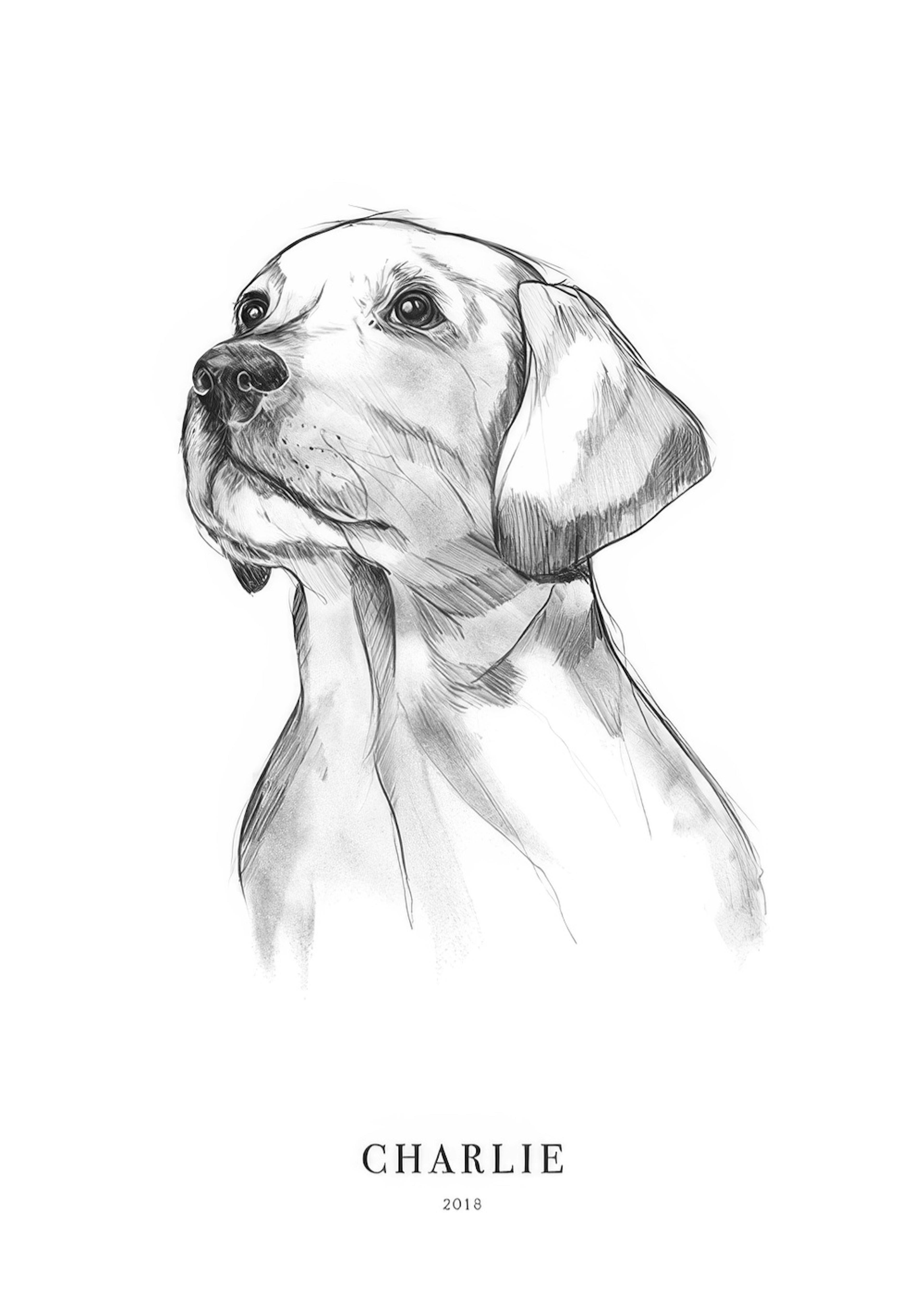 Retriever Dog Personal Poster 0