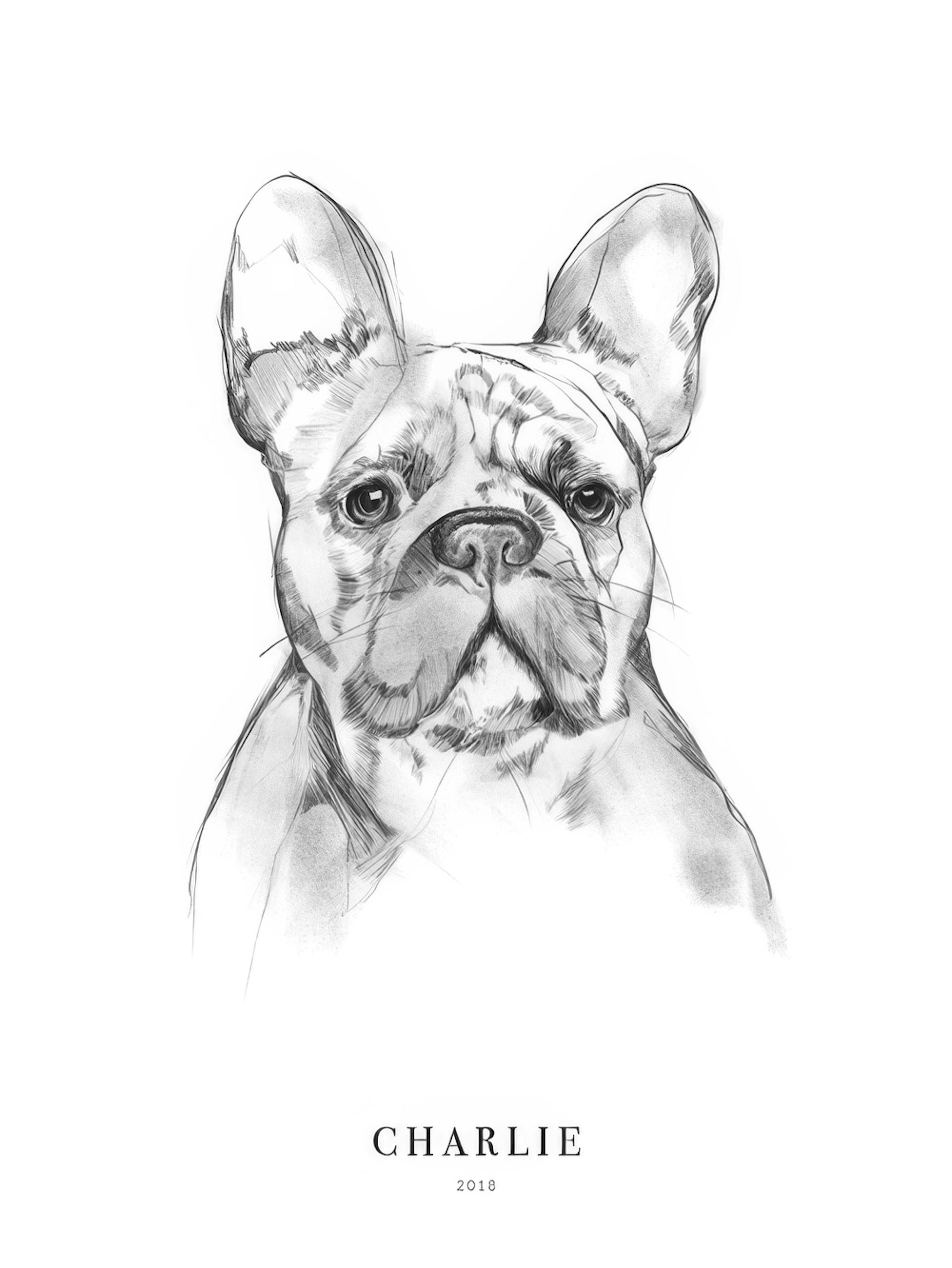 French Bulldog Personal Poster