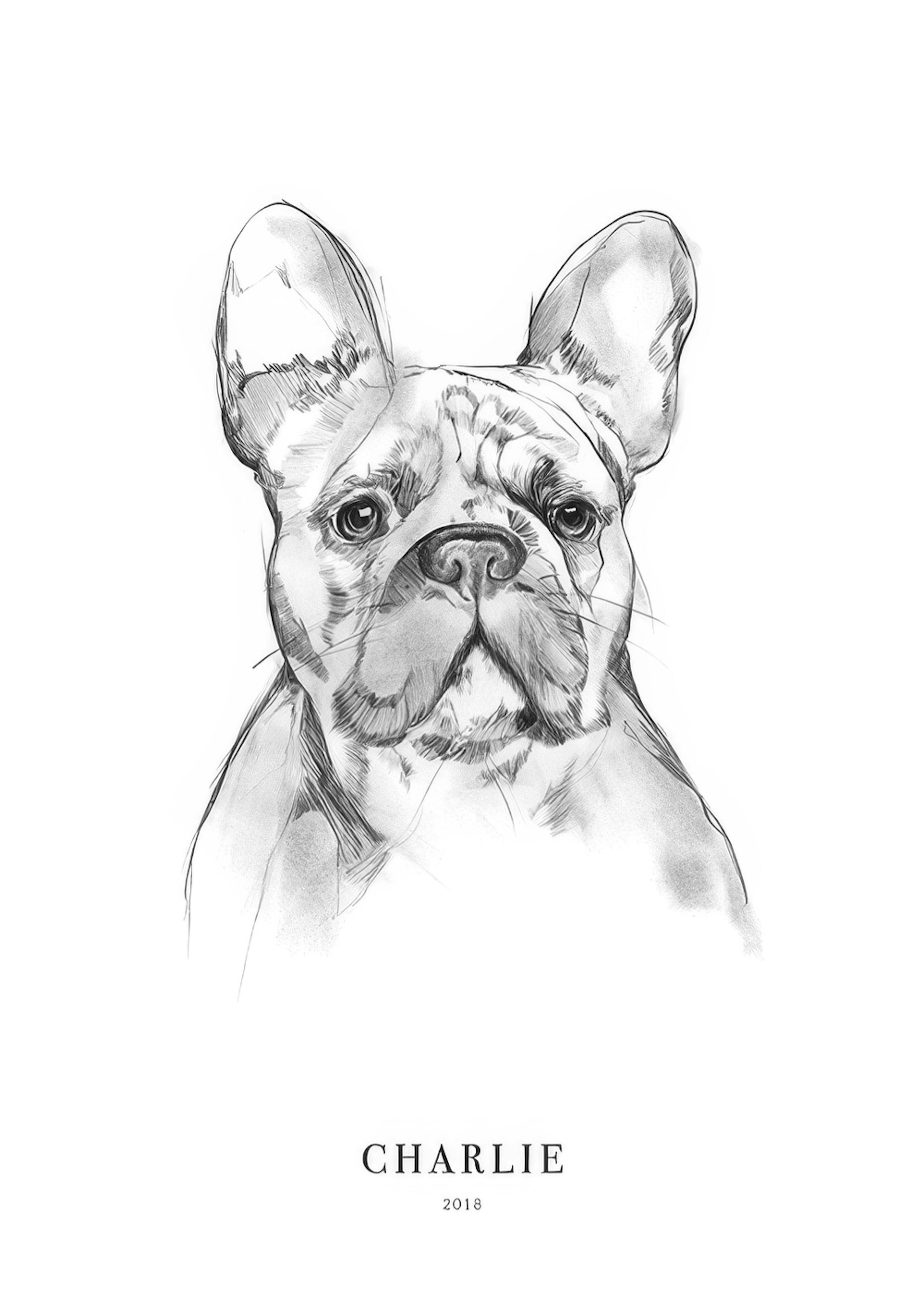 French Bulldog Personal Poster 0