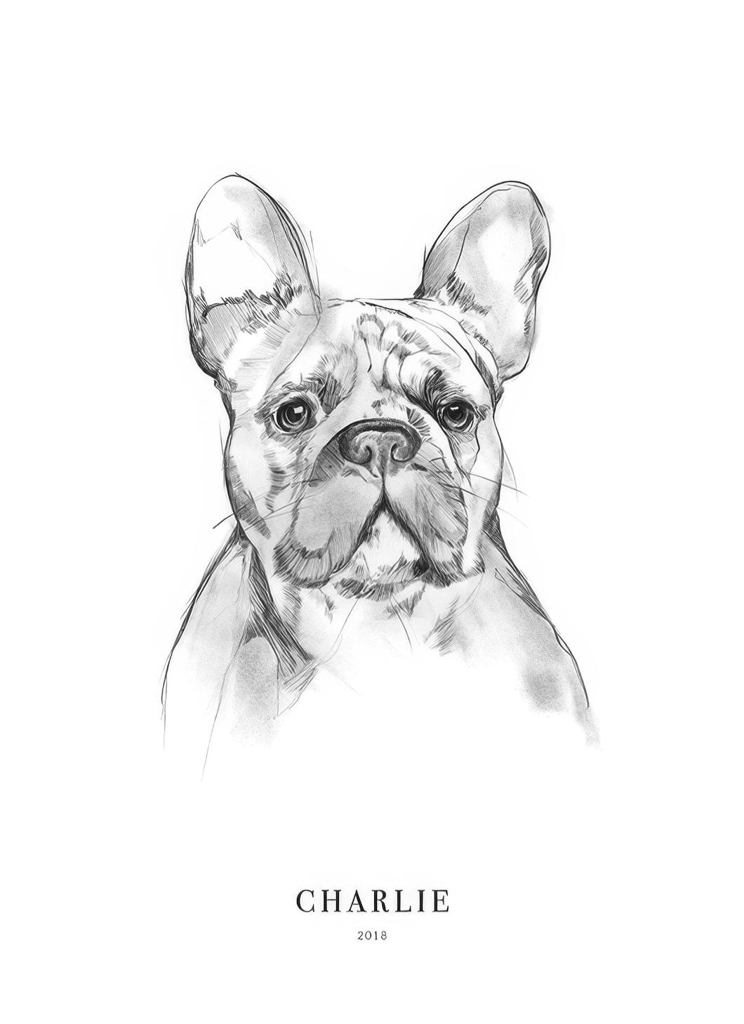Prints - French Bulldog Personal (30x40 cm) - Personalised prints