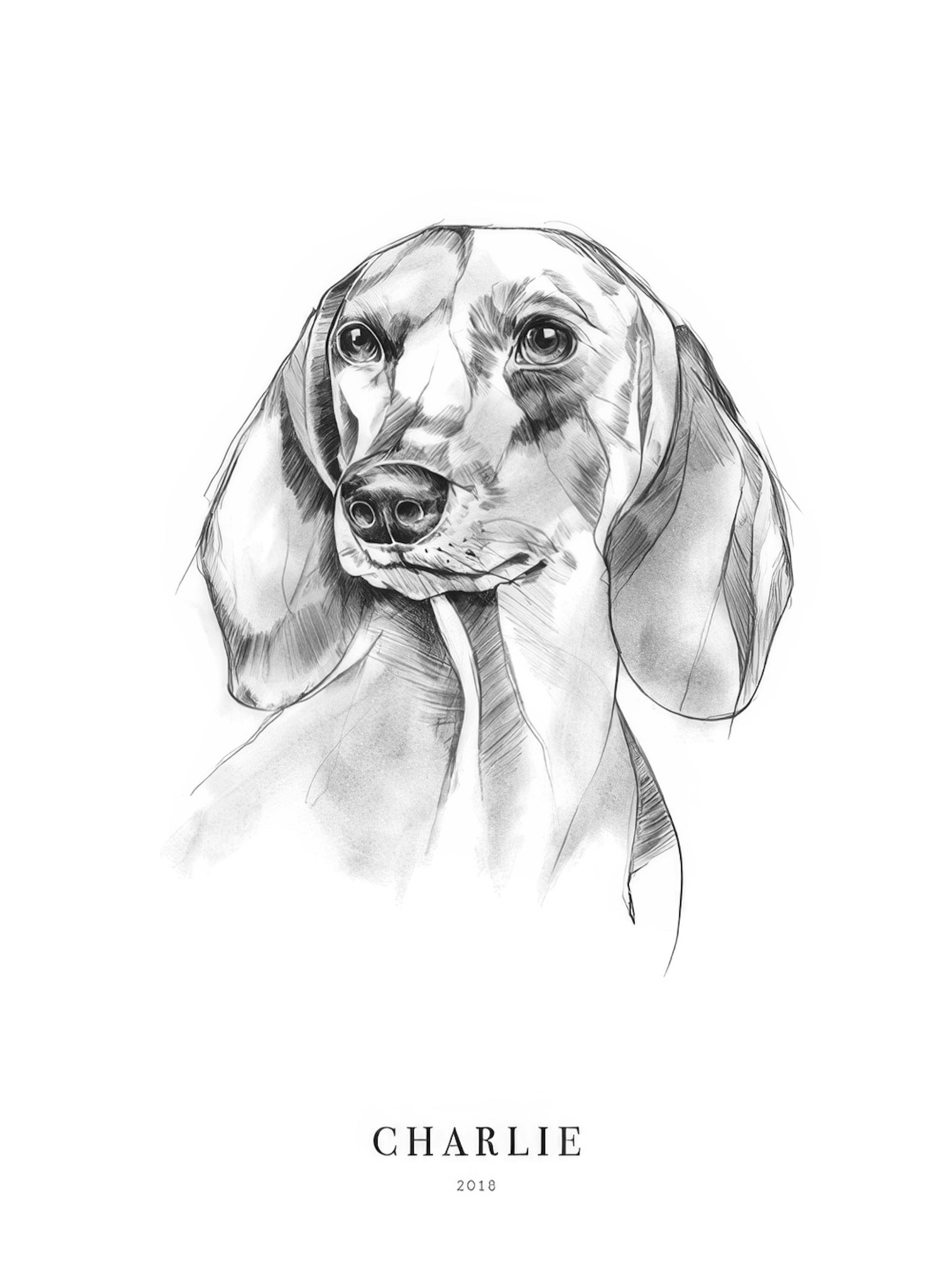 Dachshund Dog Personal