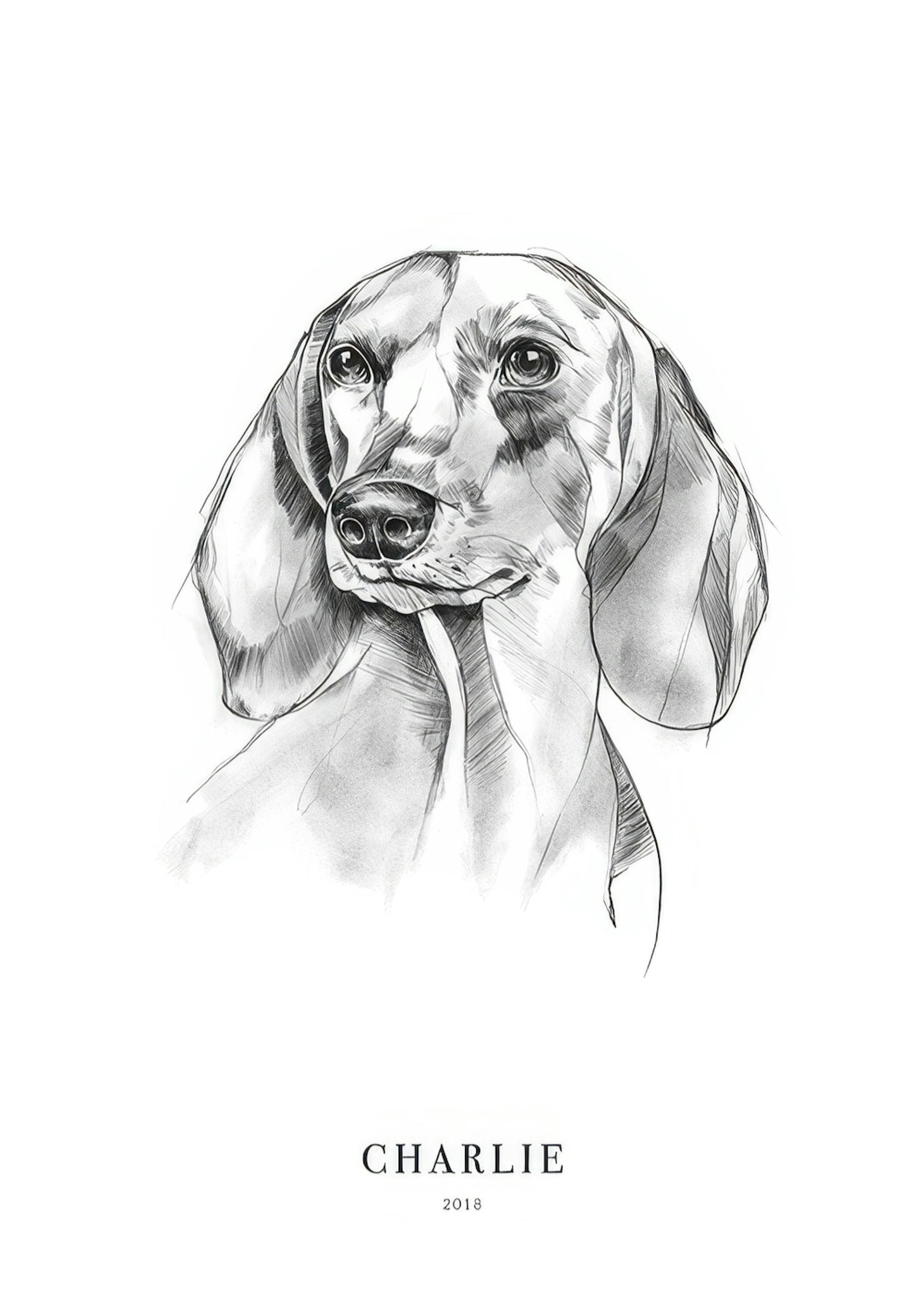 Dachshund Dog Personal 0