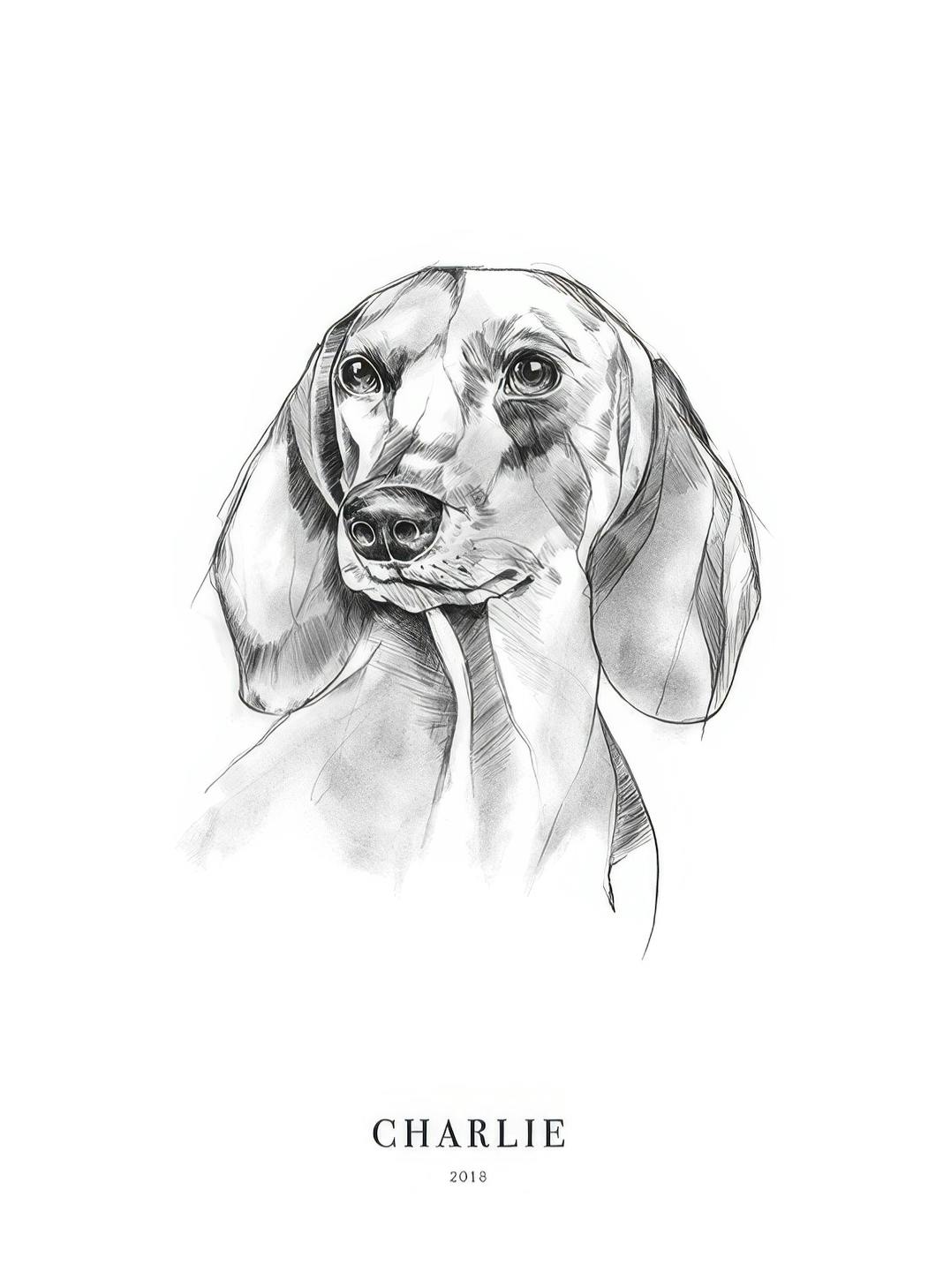 Prints - Dachshund Dog Personal (30x40 cm) - Personalised prints