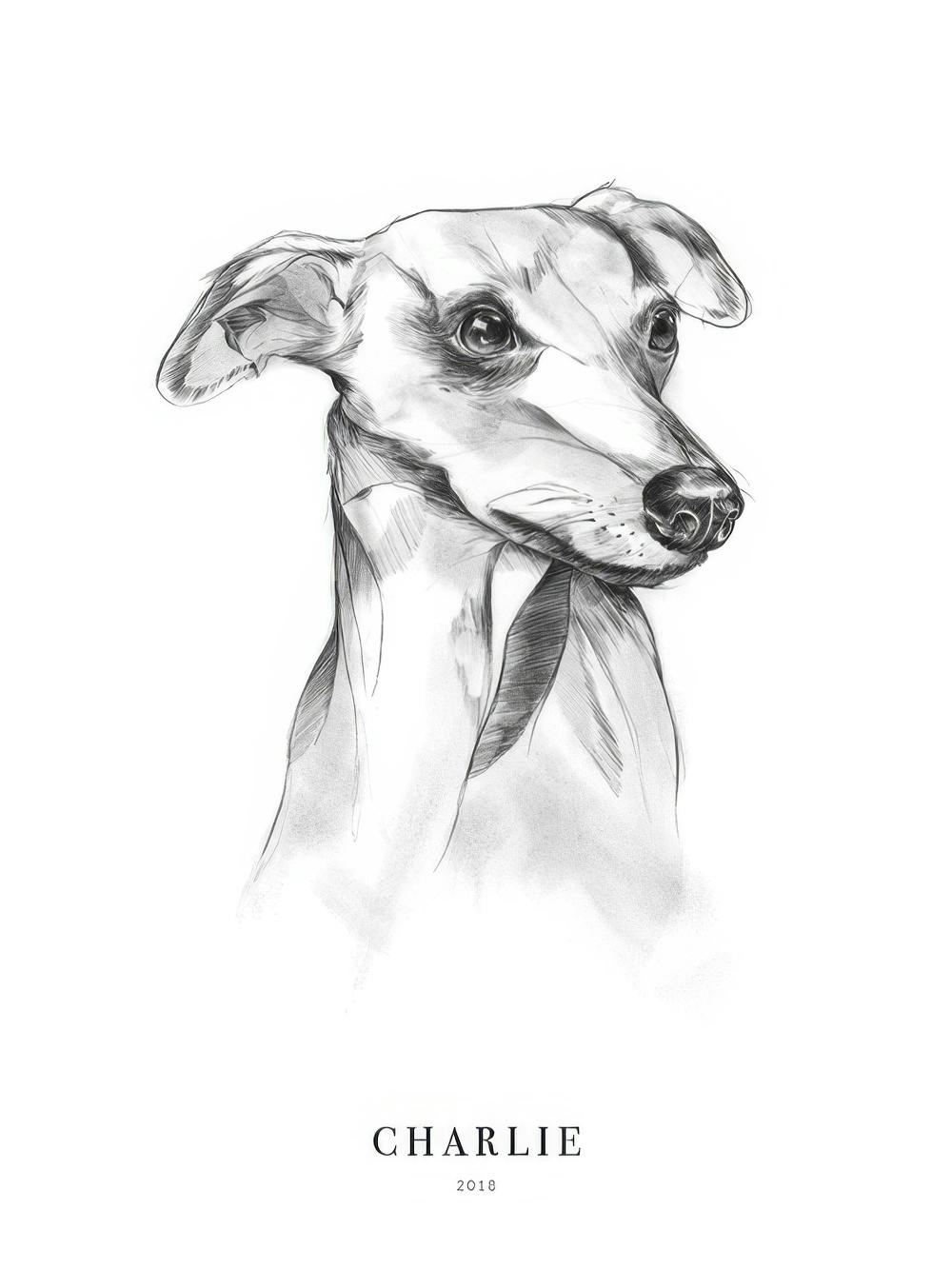 Whippet Dog Personal Poster - Main Image