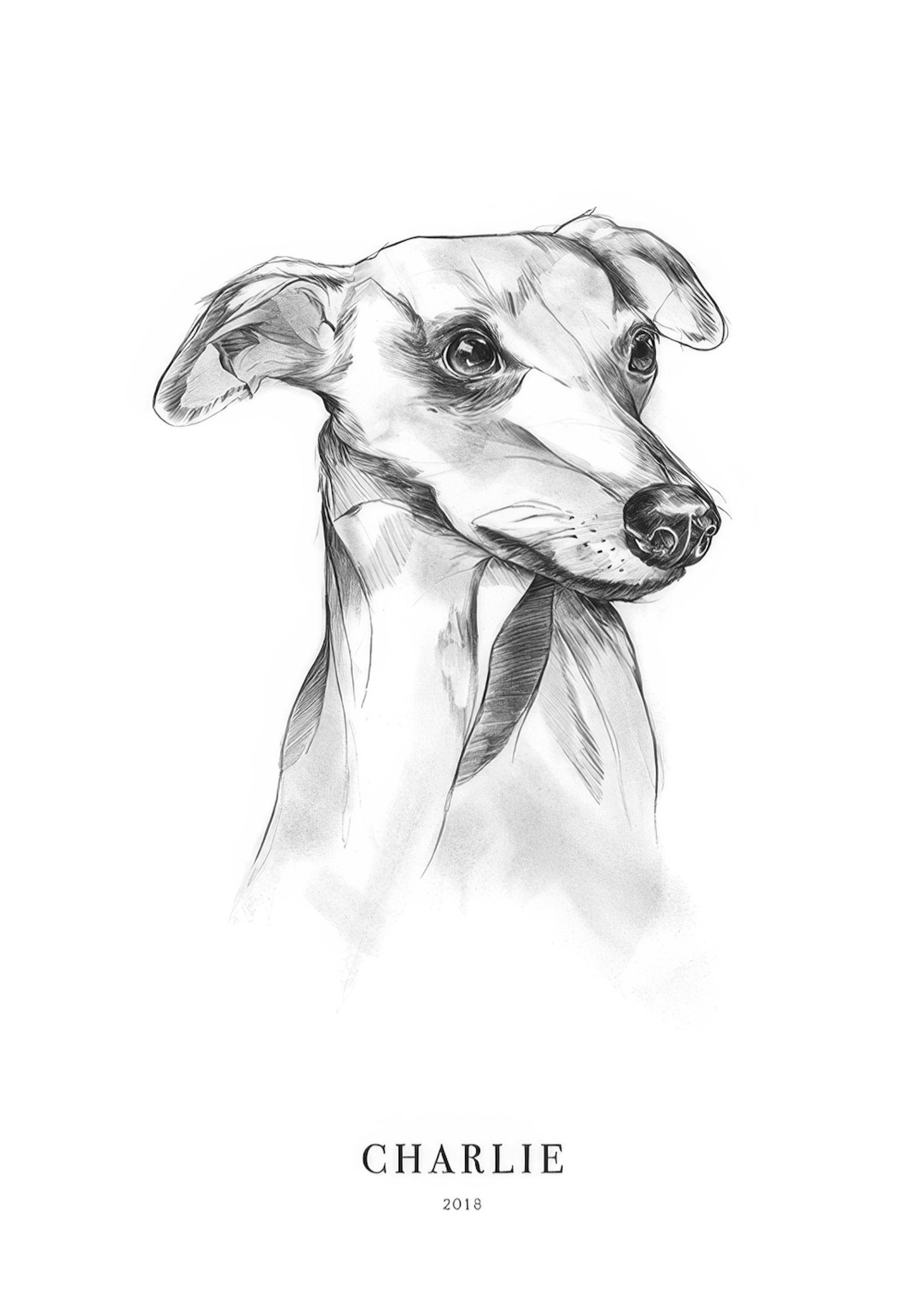 Whippet Dog Personal 0
