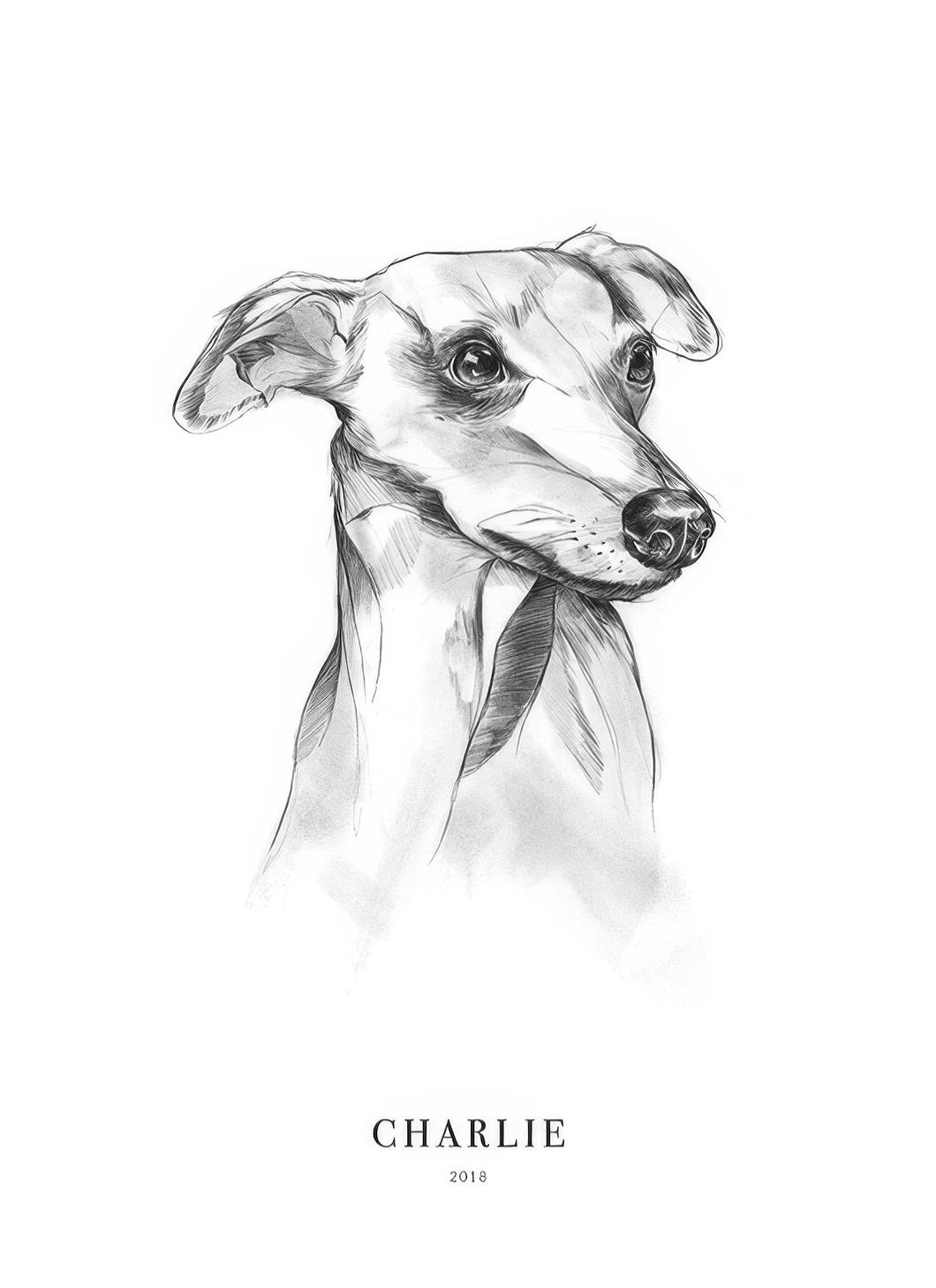 Whippet Dog Personal Poster (50x70 cm) - Gepersonaliseerde posters