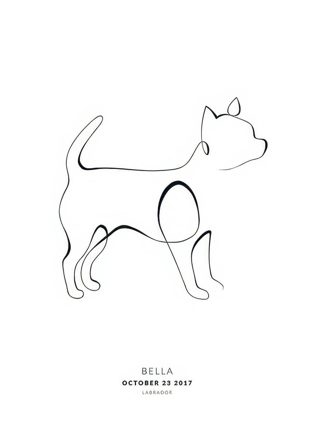 Personalisiertes Poster mit Chihuahua-Illustration in schwarzer Linienzeichnung auf weissem Hintergrund, mit Name und Geburtsdat