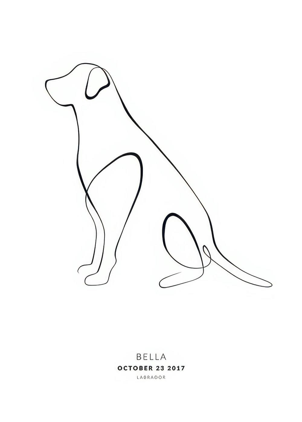 Black and white continuous line art of a sitting Labrador dog, personalized with name and birth date below.