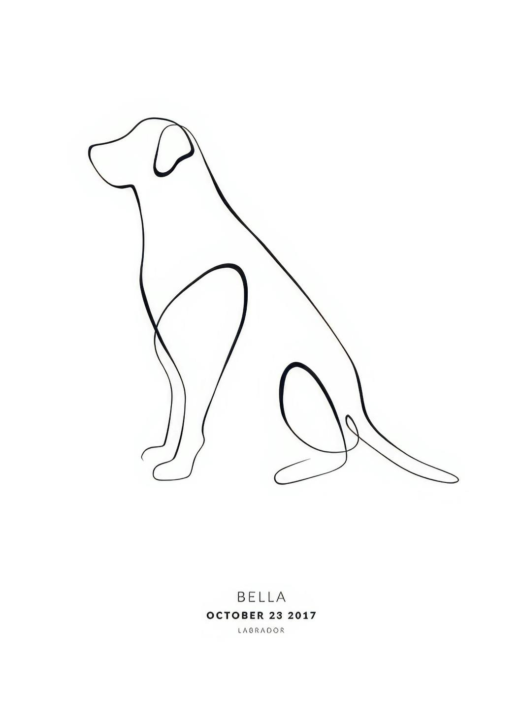 My Dog Labrador Personal Affiche (30x40 cm) - Affiches personnalisées
