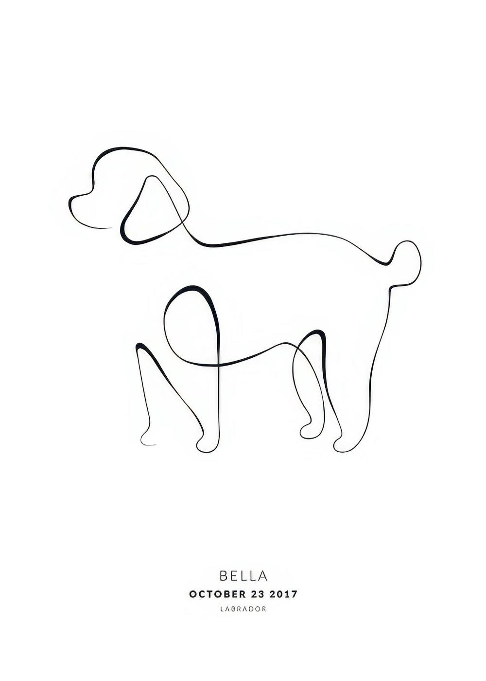 Personalizovaný plakát s černobílou ilustrací psa pudla v minimalistickém stylu, s jménem a datem pod obrázkem.