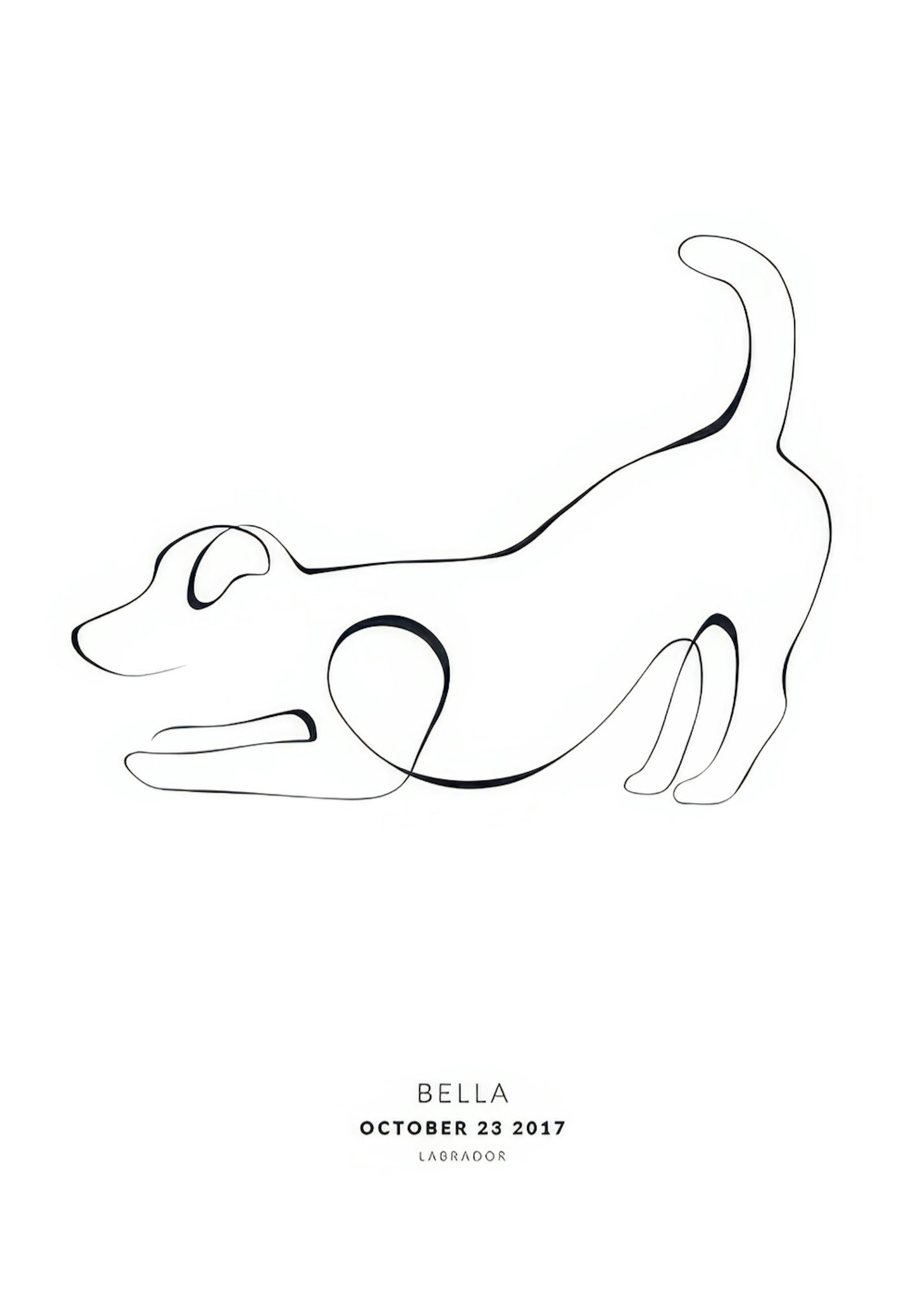 My Dog Jack Russell Personal 0