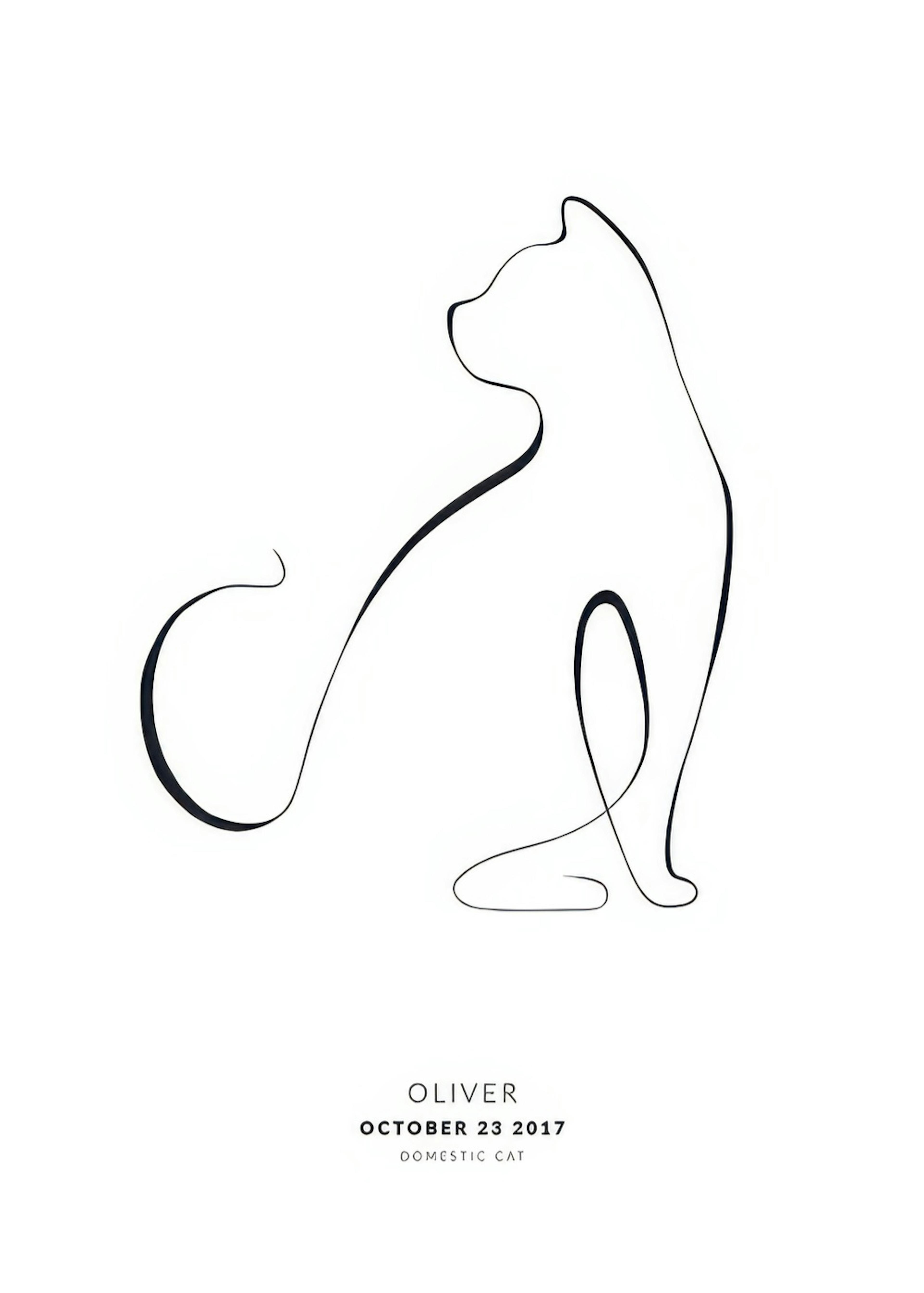 My Cat Domestic Cat Personal Poster 0