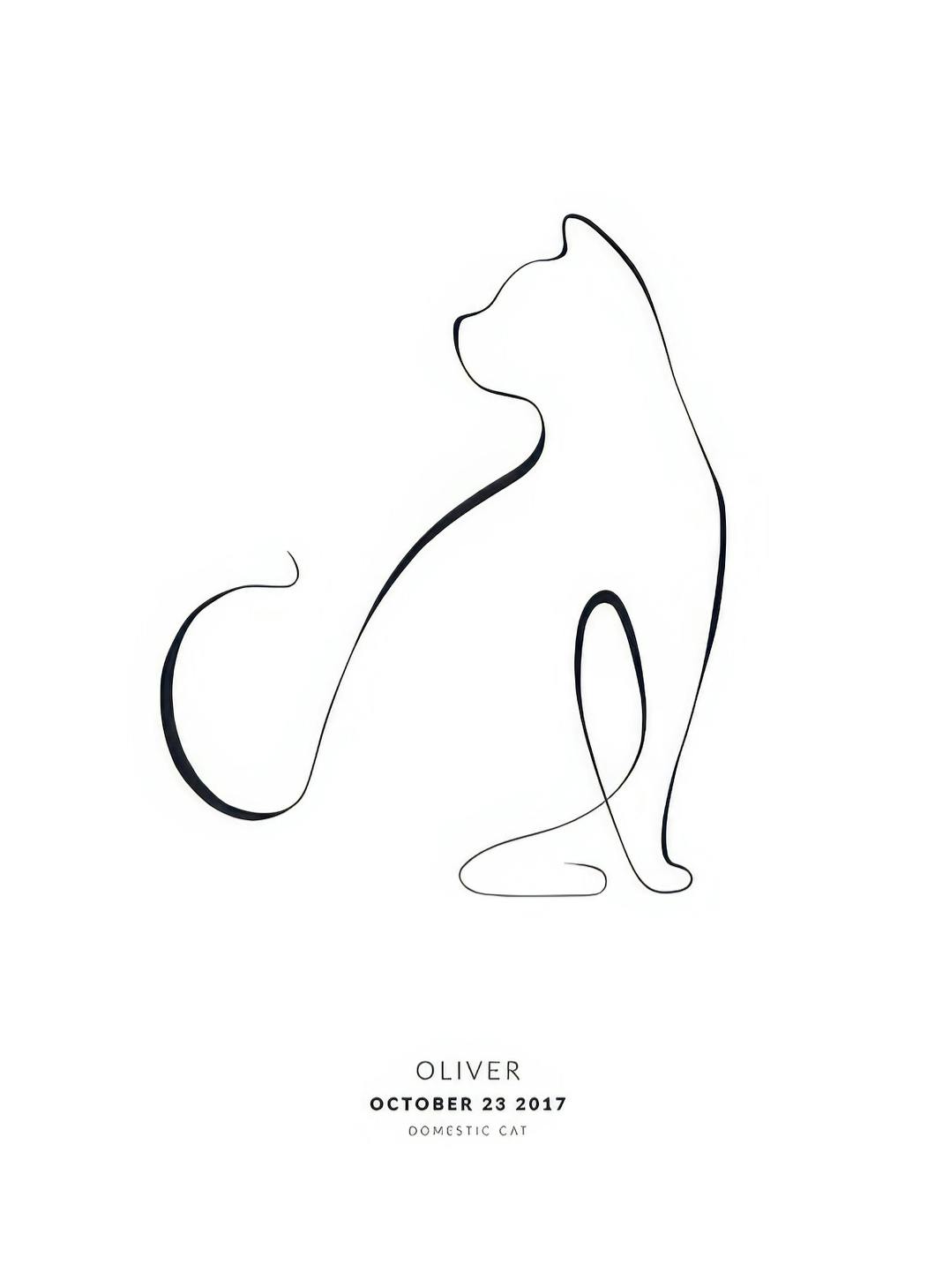 My Cat Domestic Cat Personal Plakat (30x40 cm) - Plakater > Personlige posters