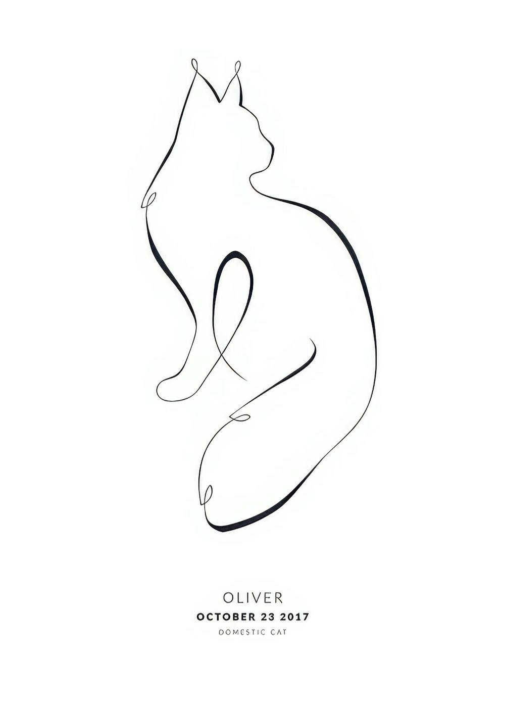 Maine coon -kissajuliste, yksiviivapiirustus kissasta, jossa teksti Oliver October 23 2017 Domestic Cat