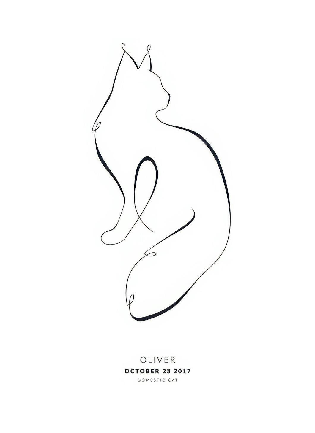 My Cat Maine Coon Personal Poster (30x40 cm)- Posters personalizados
