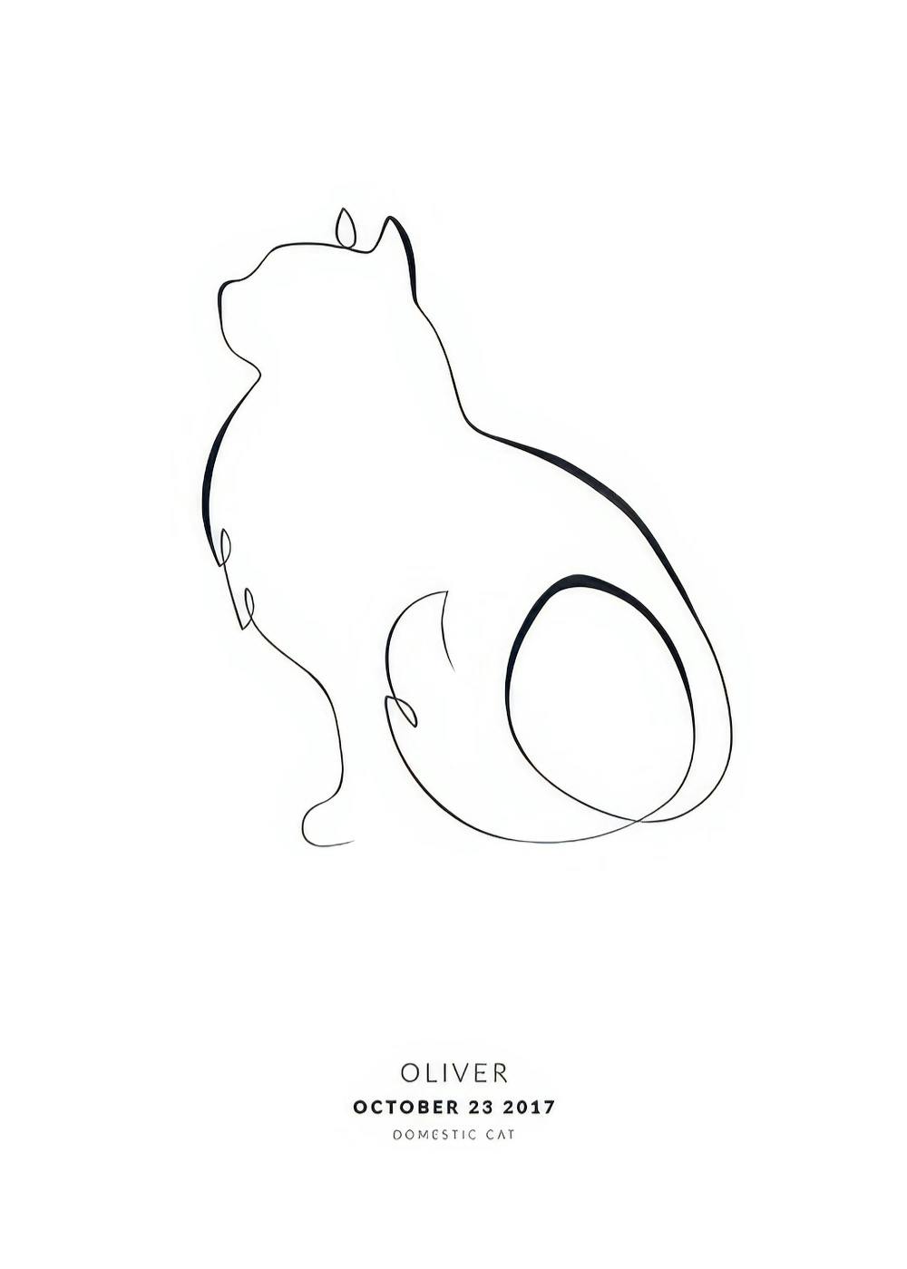Illustrazione di gatto norvegese delle foreste in stile minimalista a linea singola nera su sfondo bianco. Poster personalizzato