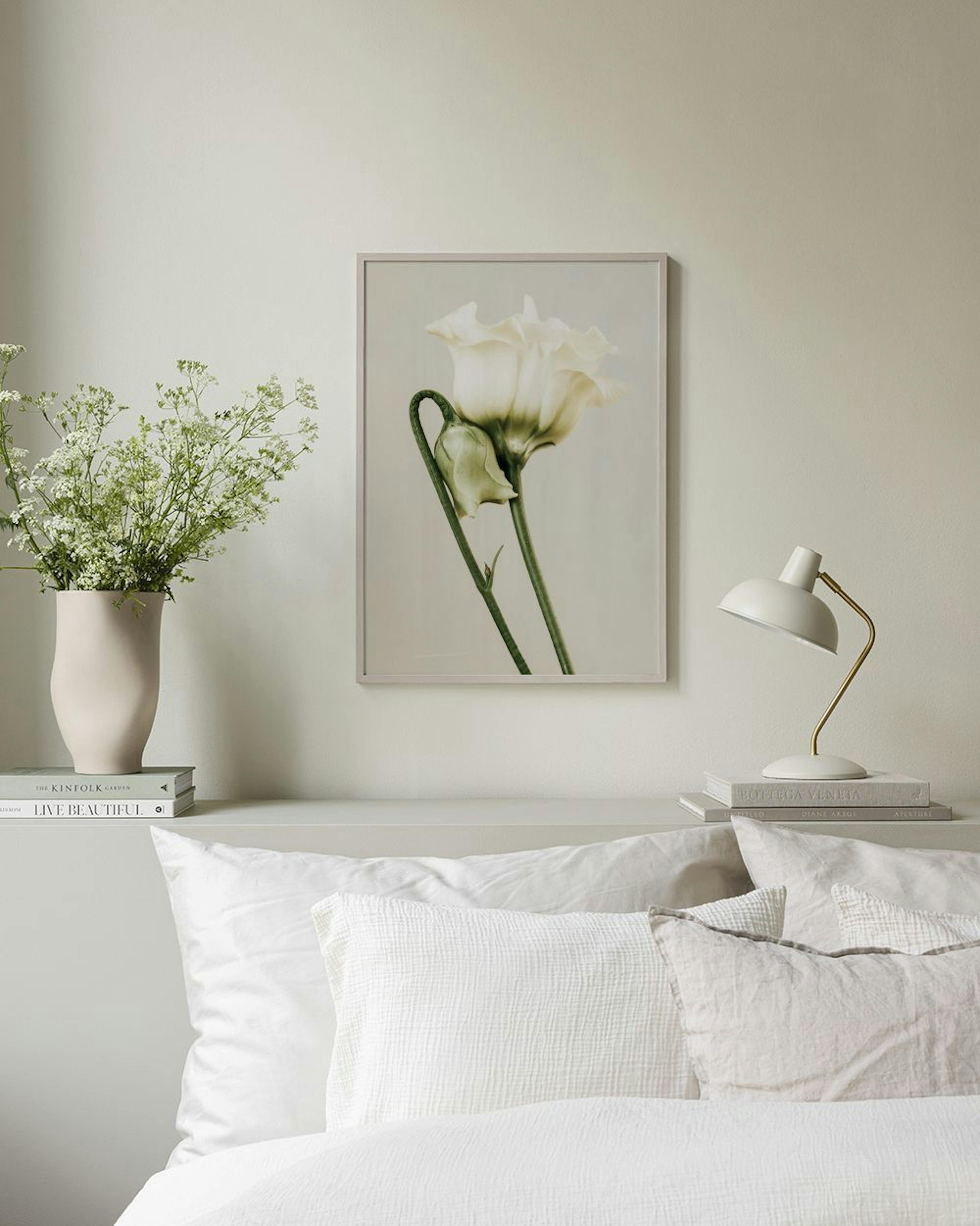 White Lisianthus Affiche